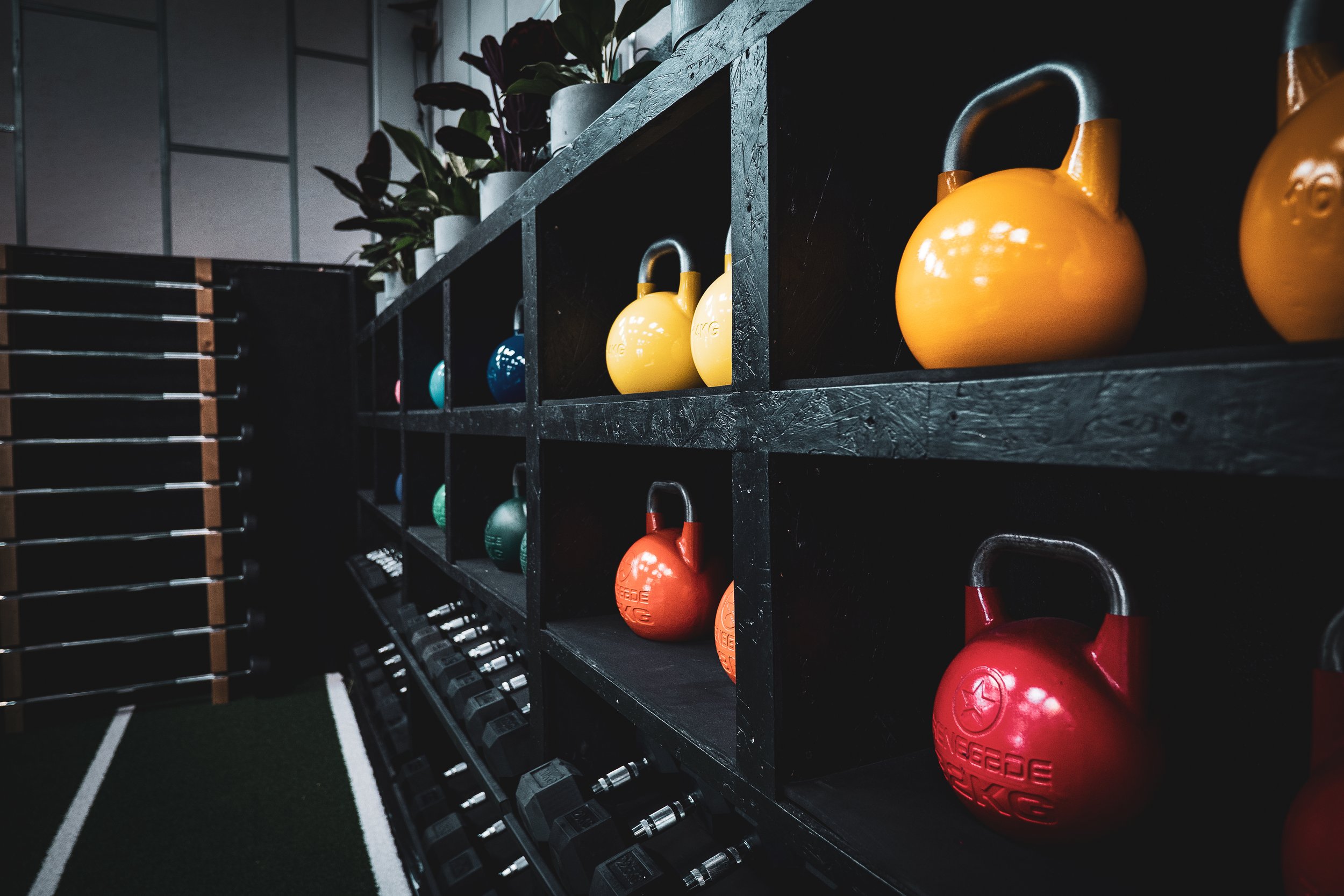 TRAINING_ROOM_OPEN_DAY-10.jpg