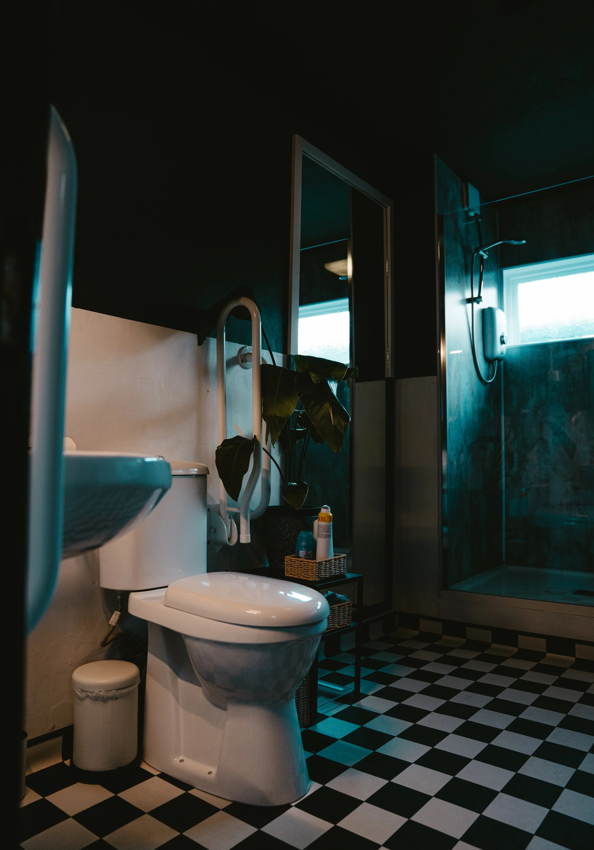 Bathroom with toilet, plant, shower, and checkered black and white floor.