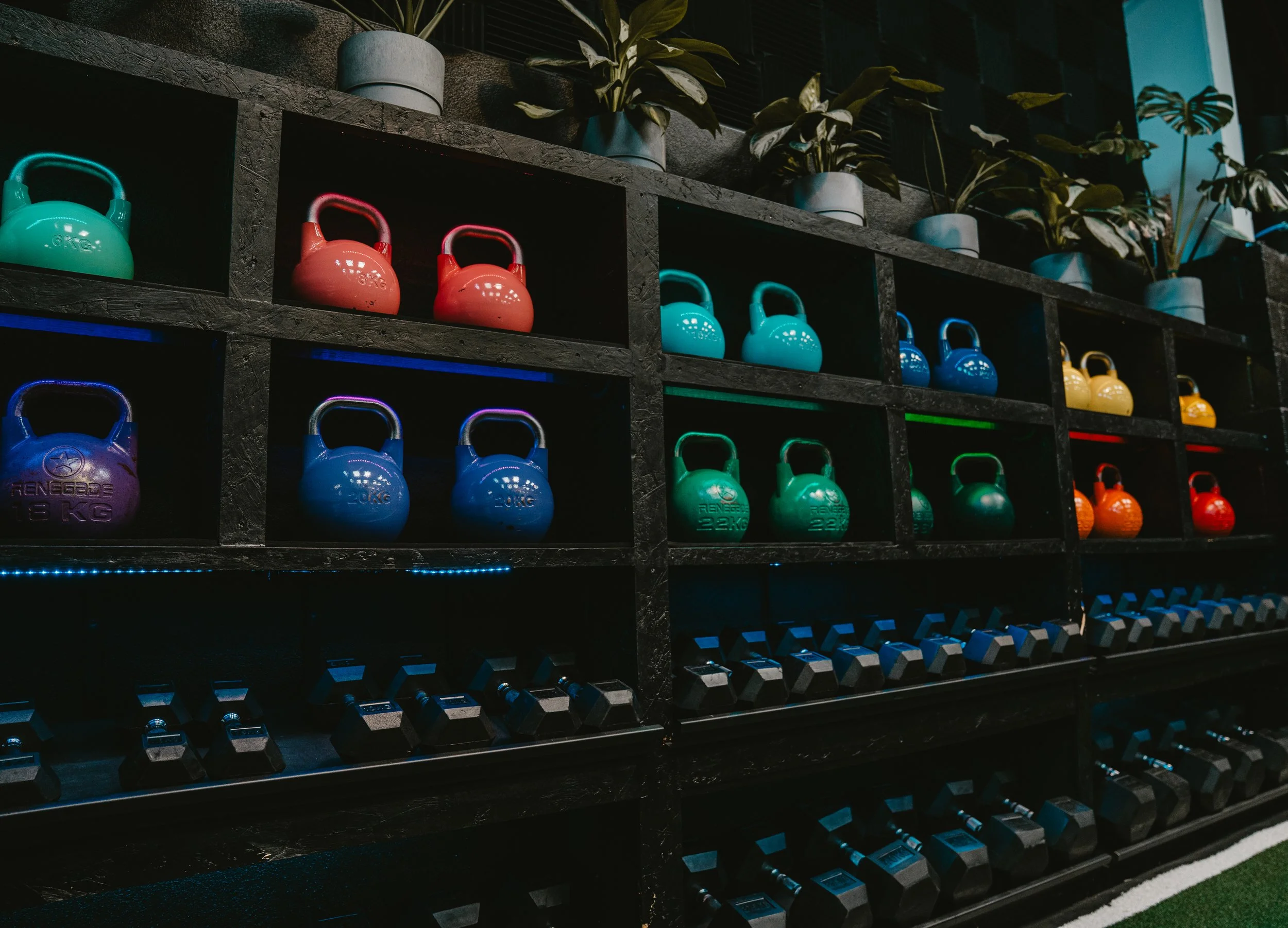 Colorful kettlebells arranged on black shelves in a gym, with potted plants on top and dumbbells at the bottom.