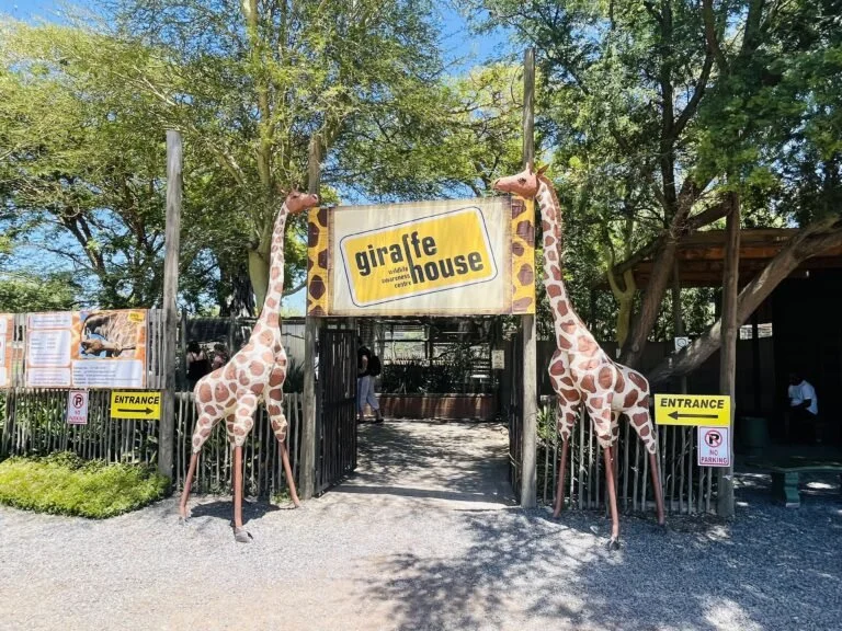 Giraffe-House-Entrance-with-giraffes-768x576.jpg