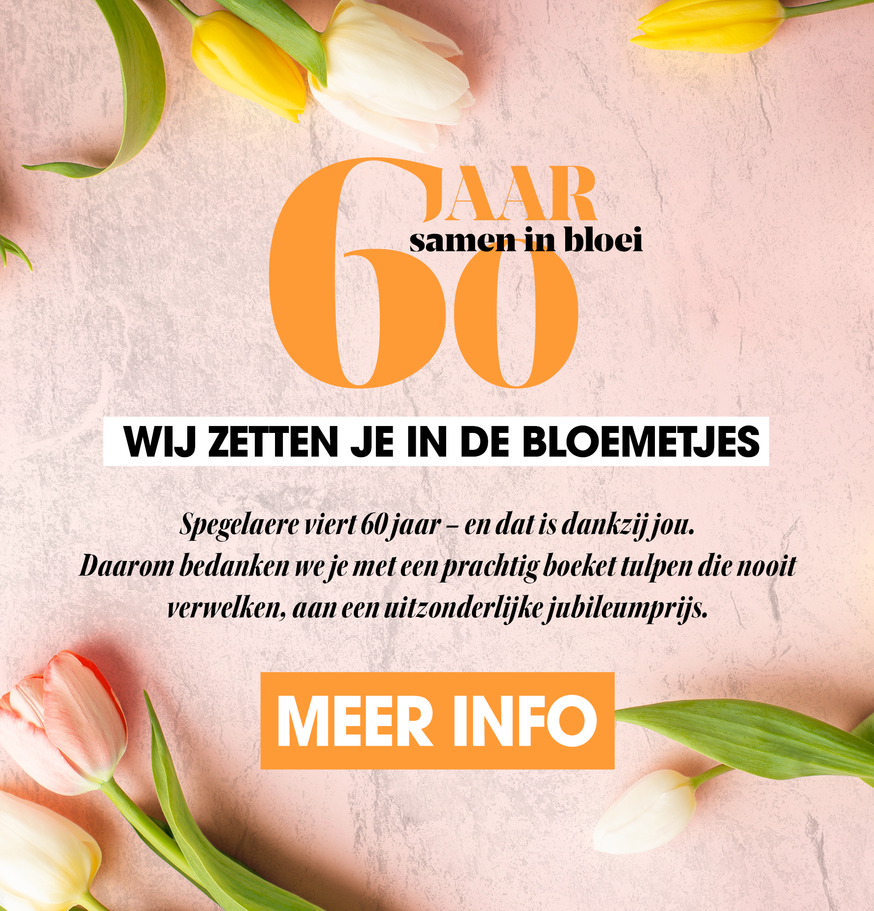 HEADER MOBIEL_TULPEN.png