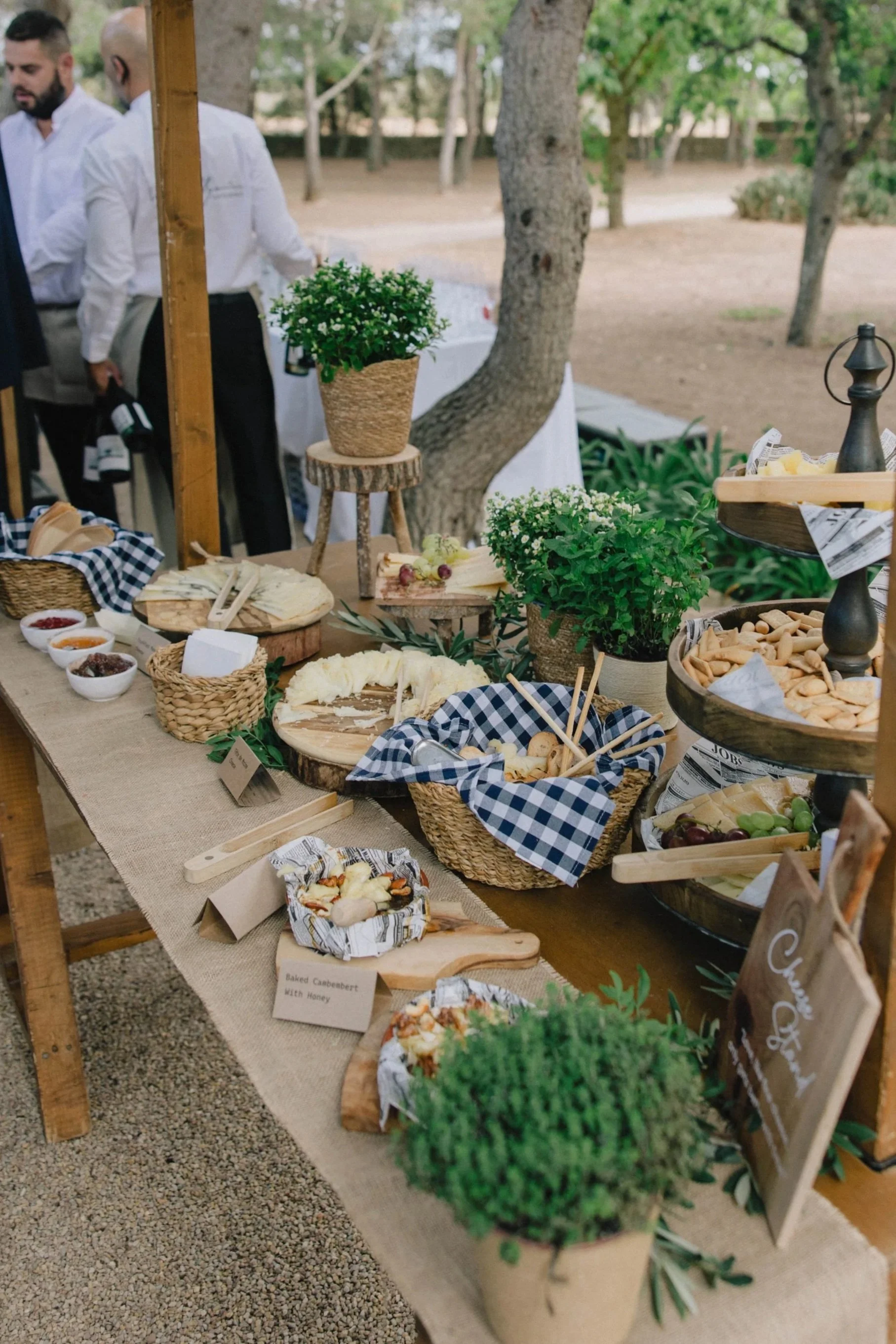 Cheese selection during a wedding reception in Mallorca