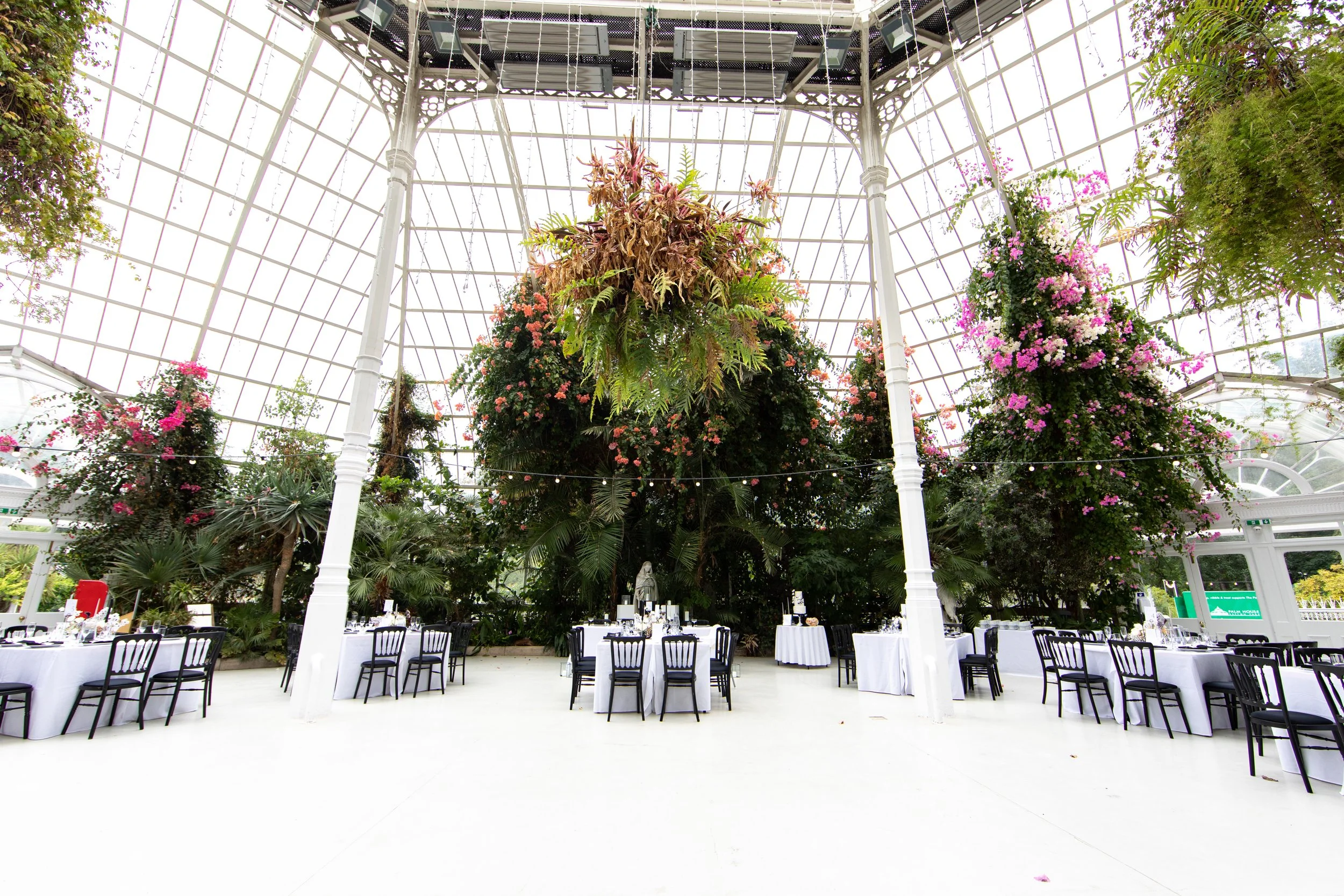 Indoor greenhouse event space with elegant table settings, white tablecloths, and black chairs, surrounded by lush greenery and colorful hanging plants.