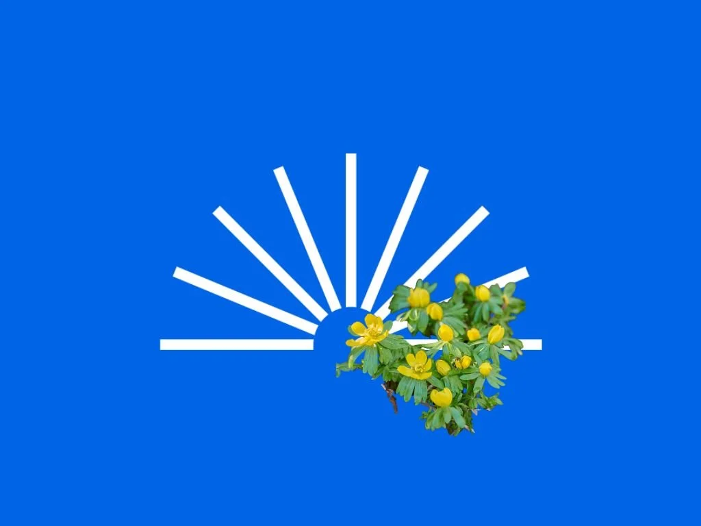 Nyt fra Folkebibliotekernes CMS