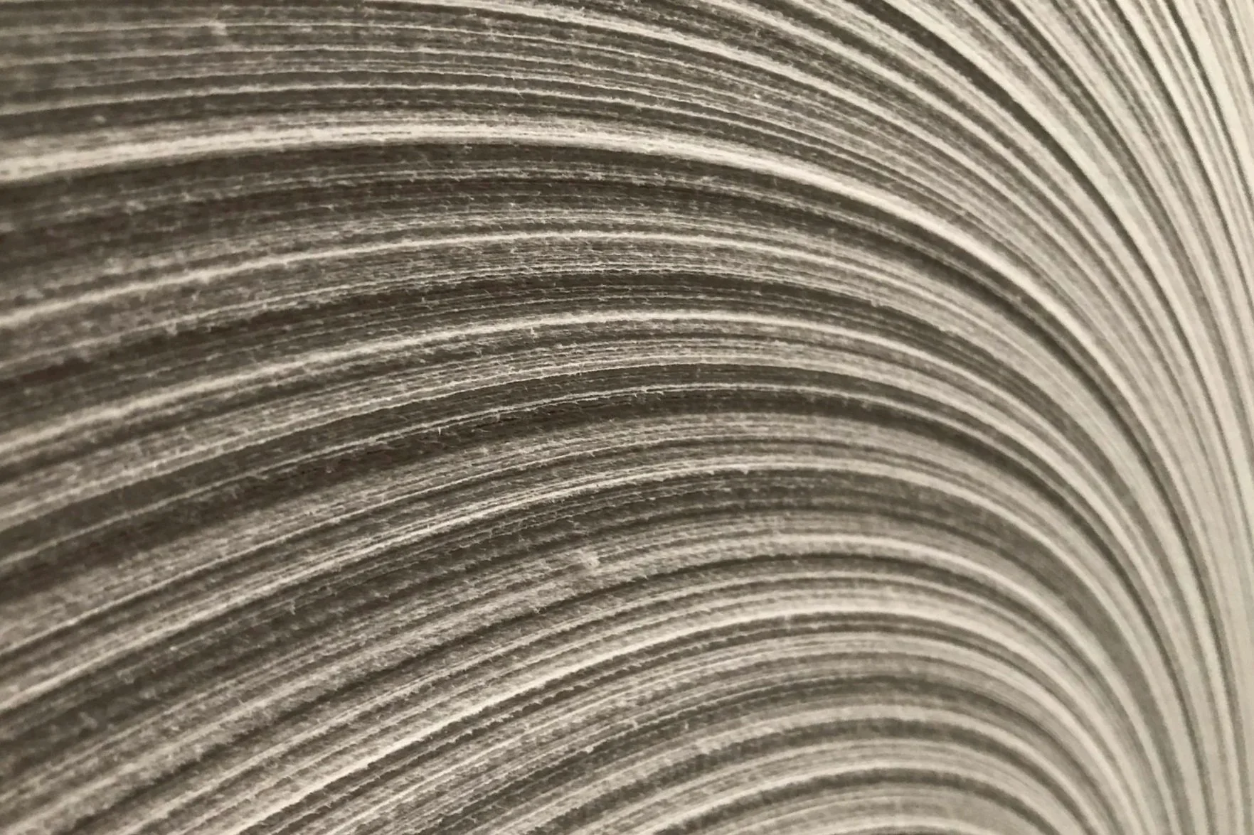 large paper roll