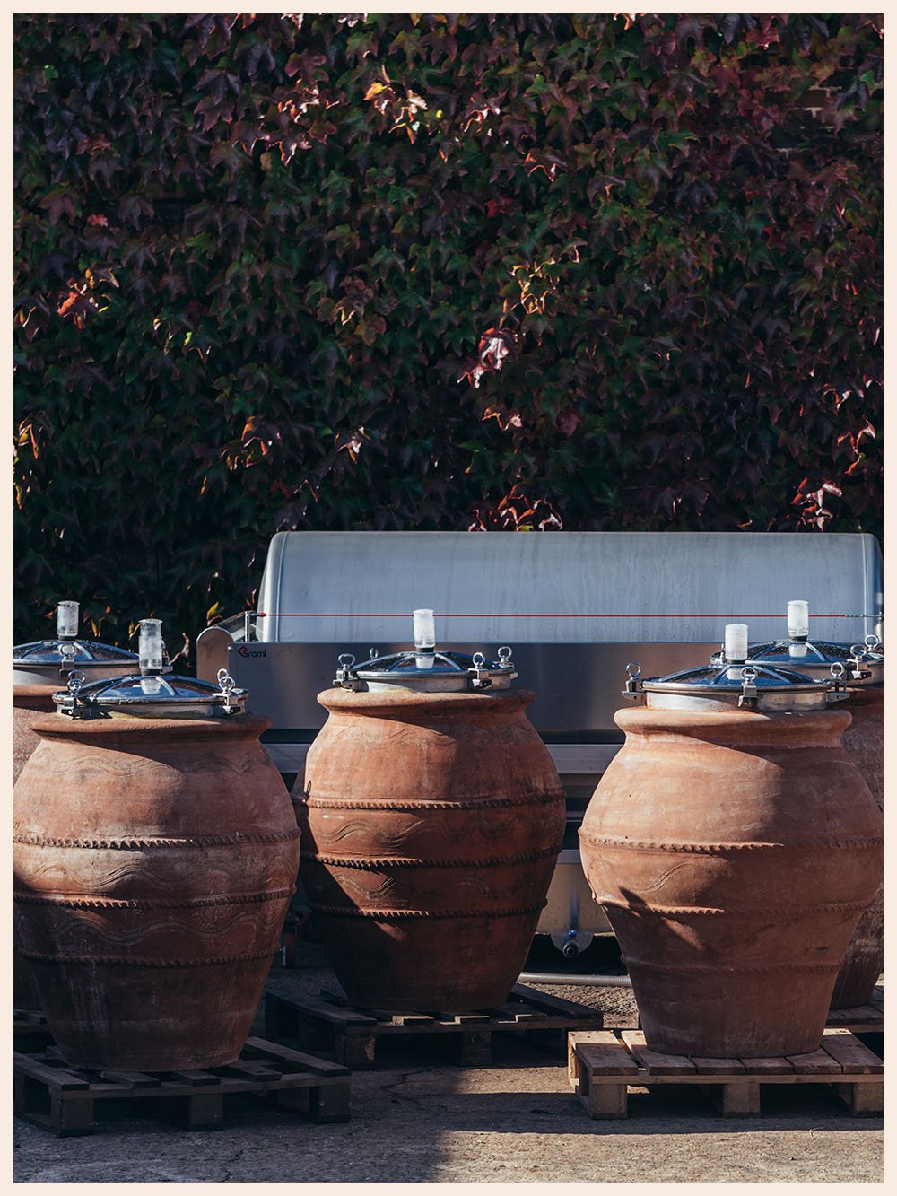 Artefact Wine Tuscan Amphora Castlewood Vineyard