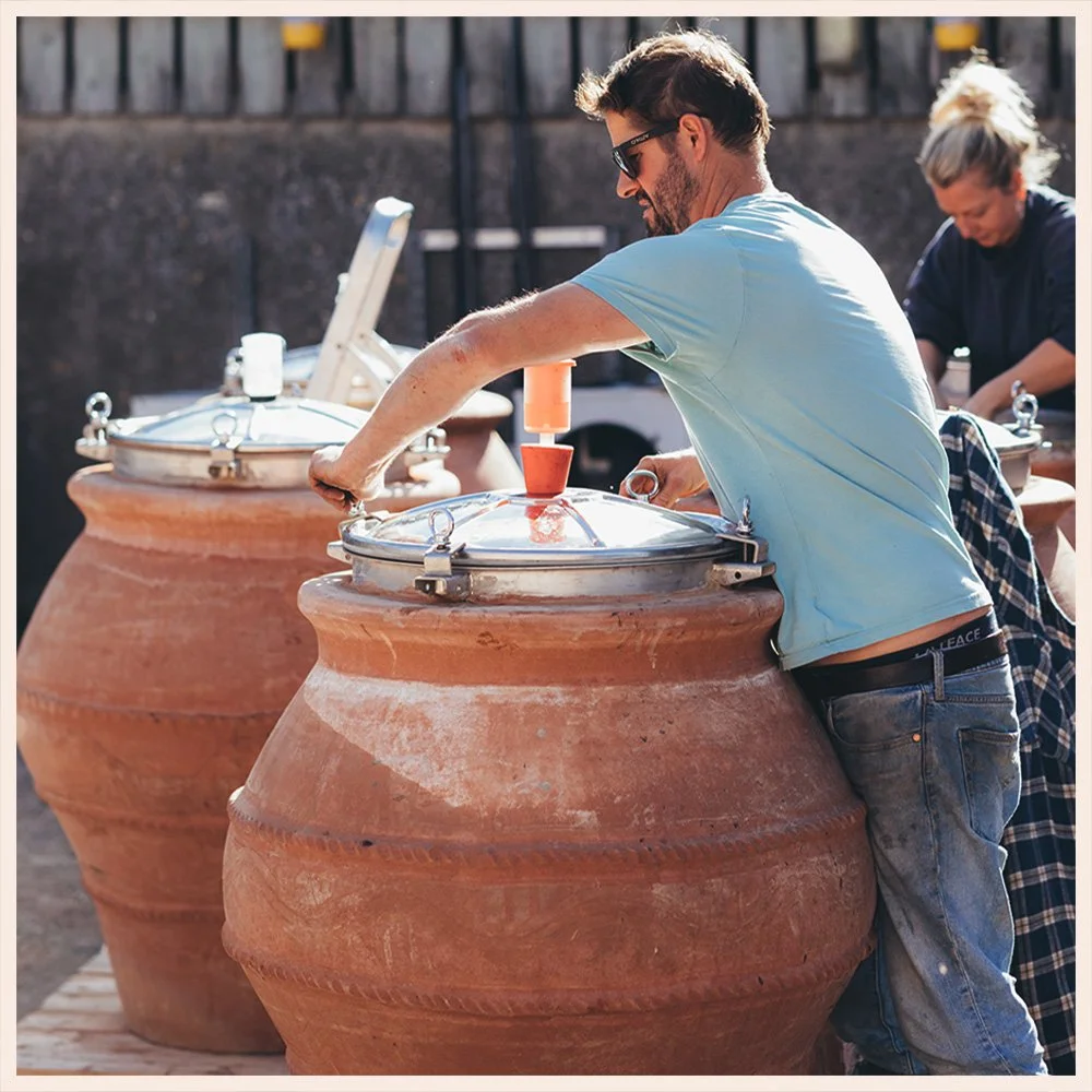 Artefact Wine Tuscan Amphora Castlewood Vineyard Rob Corbett