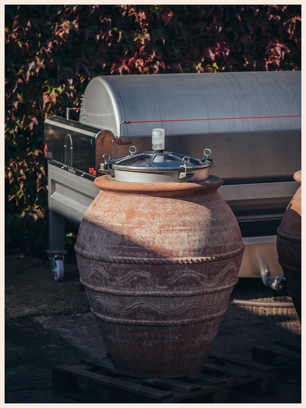 Artefact Wine Castlewood Vineyard Tuscan Amphora Clay Pot