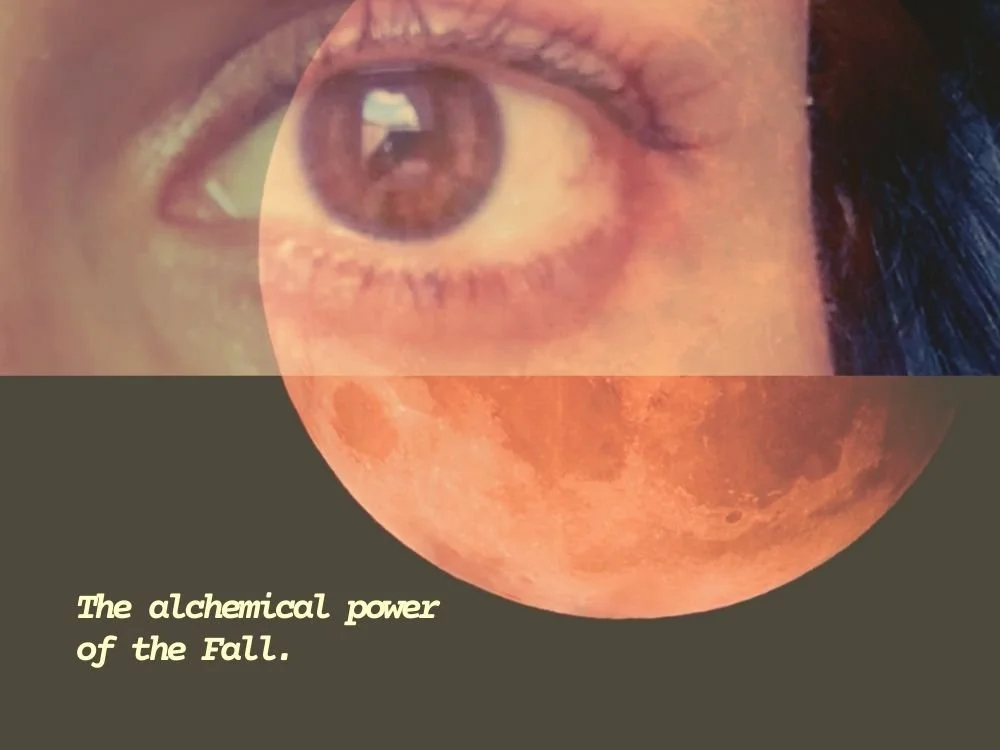 Embracing Autumn as Your Portal for Deep Transformation & Shadow Work