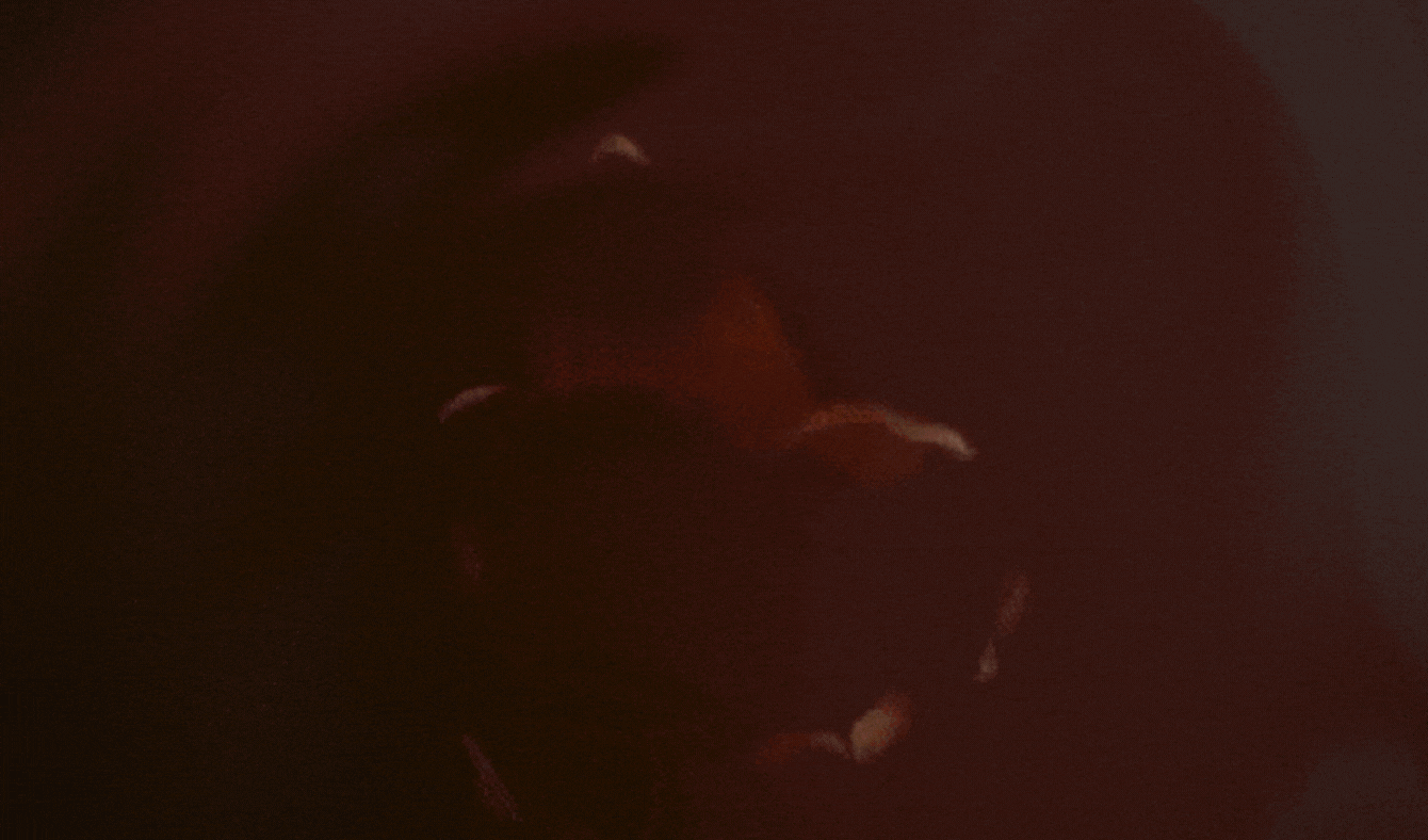 Dark, blurry image with faint, glowing, irregular shapes and light streaks, hard to distinguish specific objects.