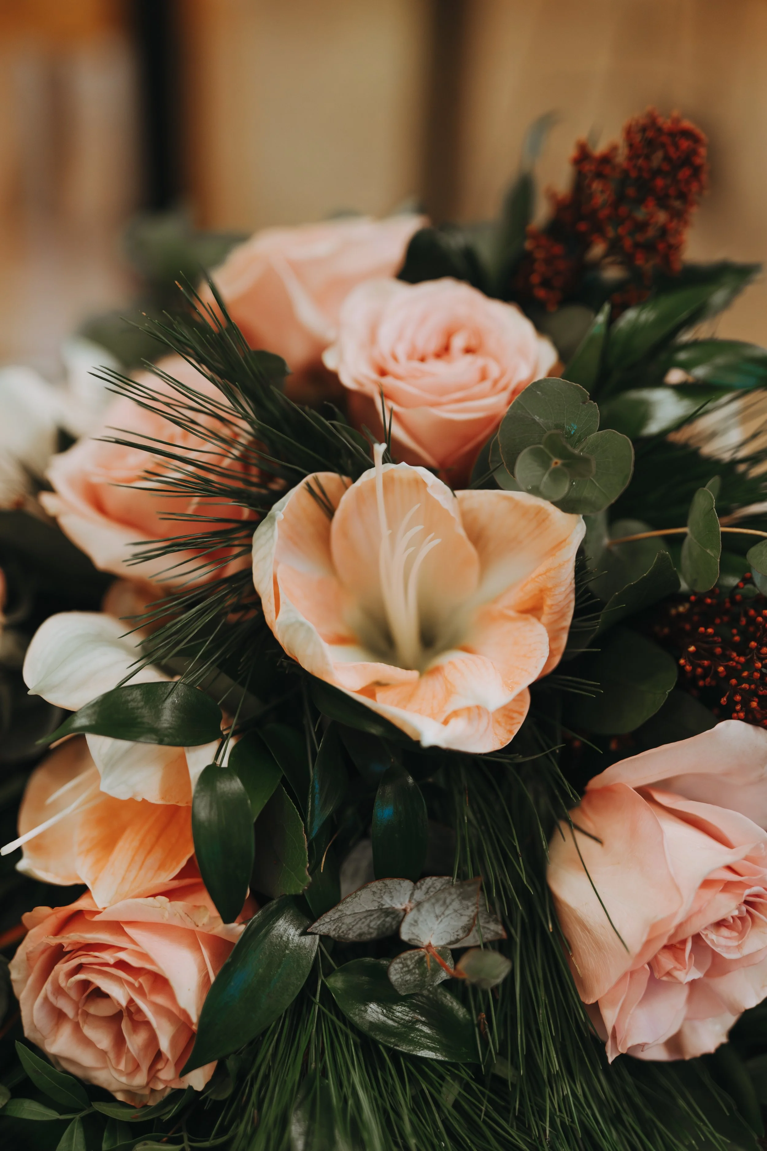  Iida Hay Media Photography-8.jpg