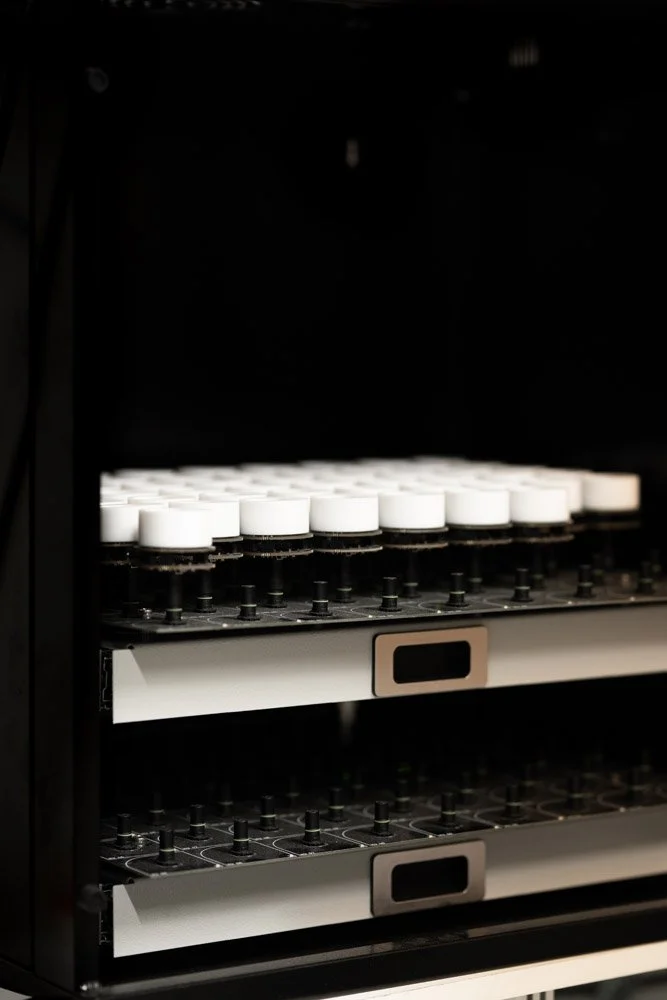 Iida Hay Media Photography-1.jpg