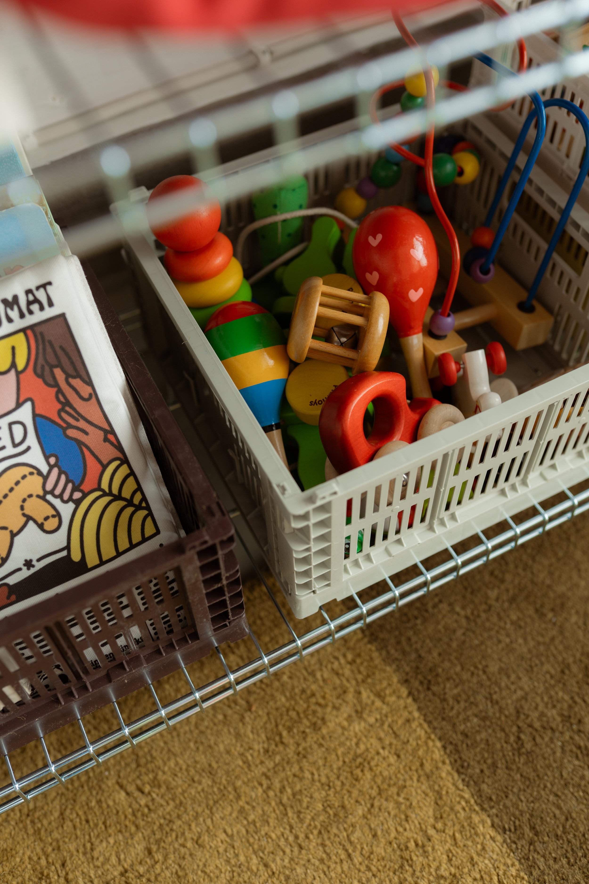 Iida Hay Media Photography-4.jpg