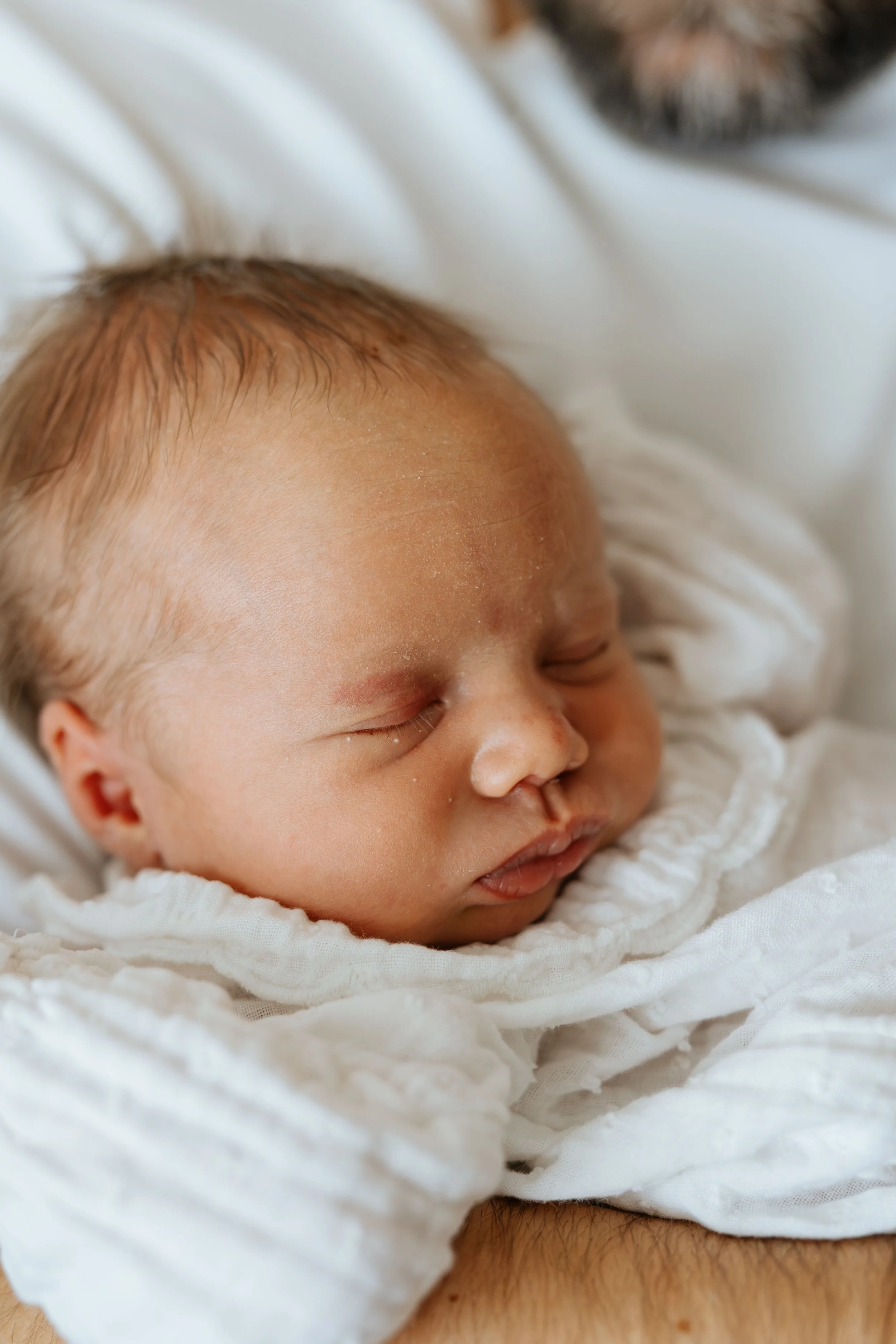  Iida Hay Media Photography-33.jpg