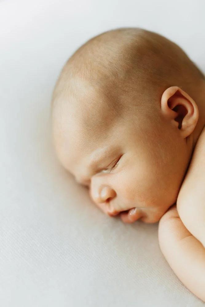  Iida Hay Media Photography-126.jpg