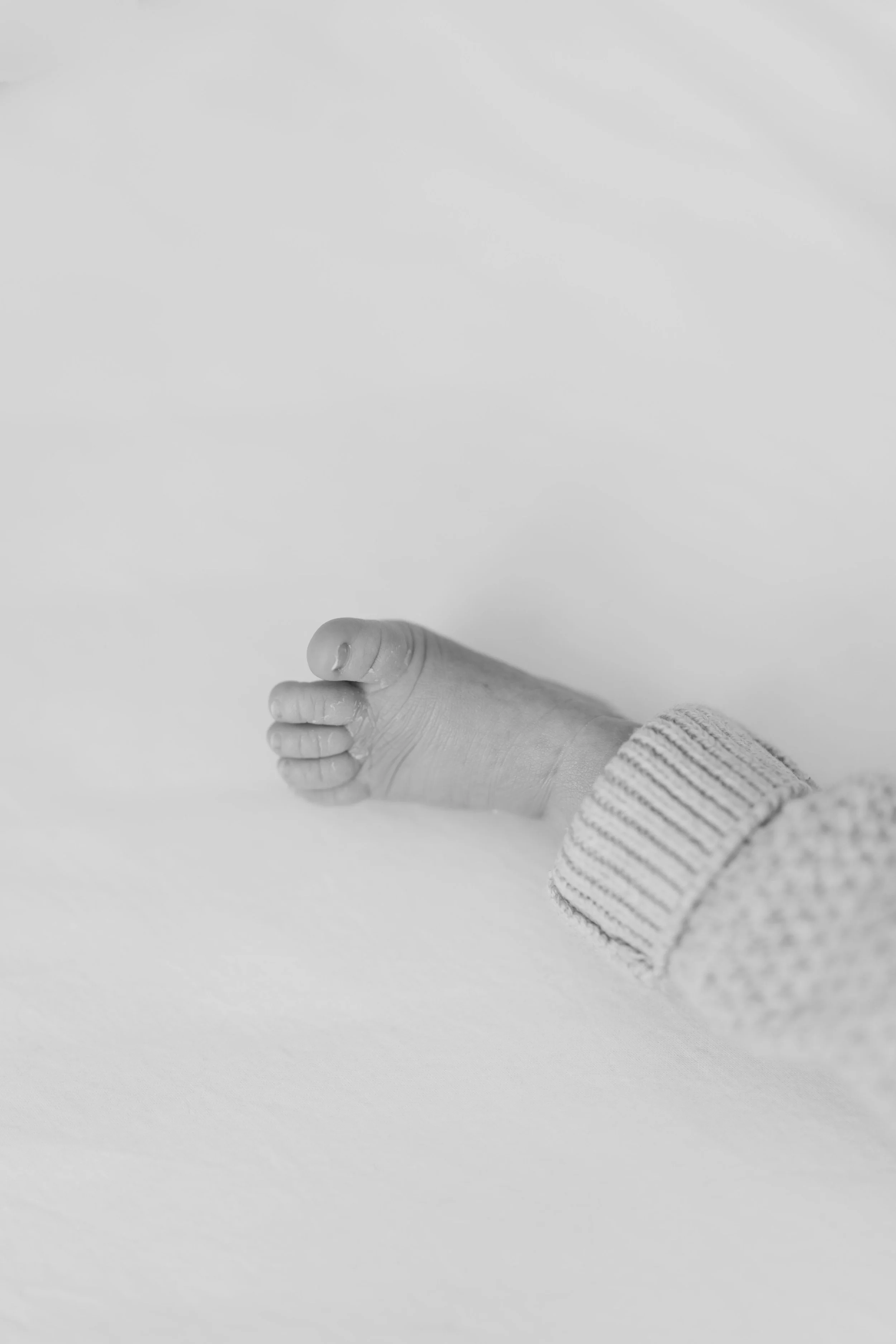  Iida Hay Media Photography-94.jpg
