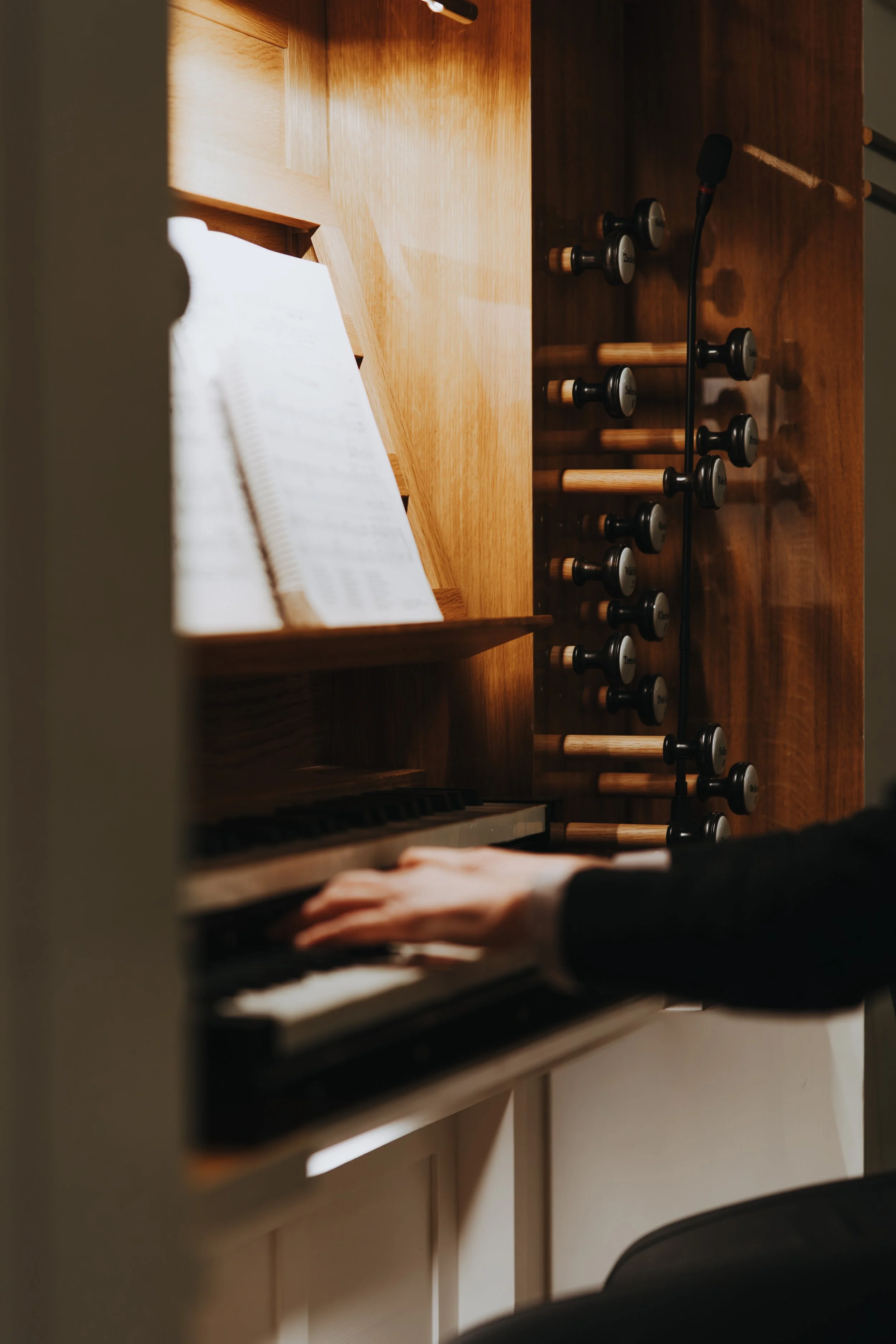  Iida Hay Media Photography-108.jpg