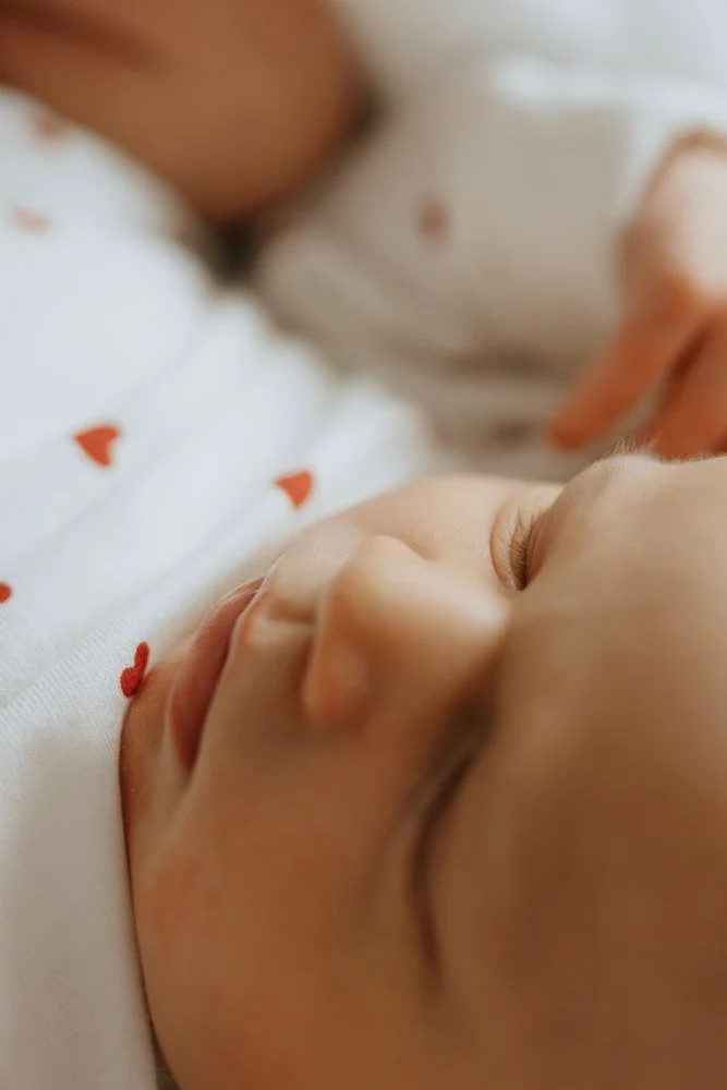  Iida Hay Media Photography-63.jpg