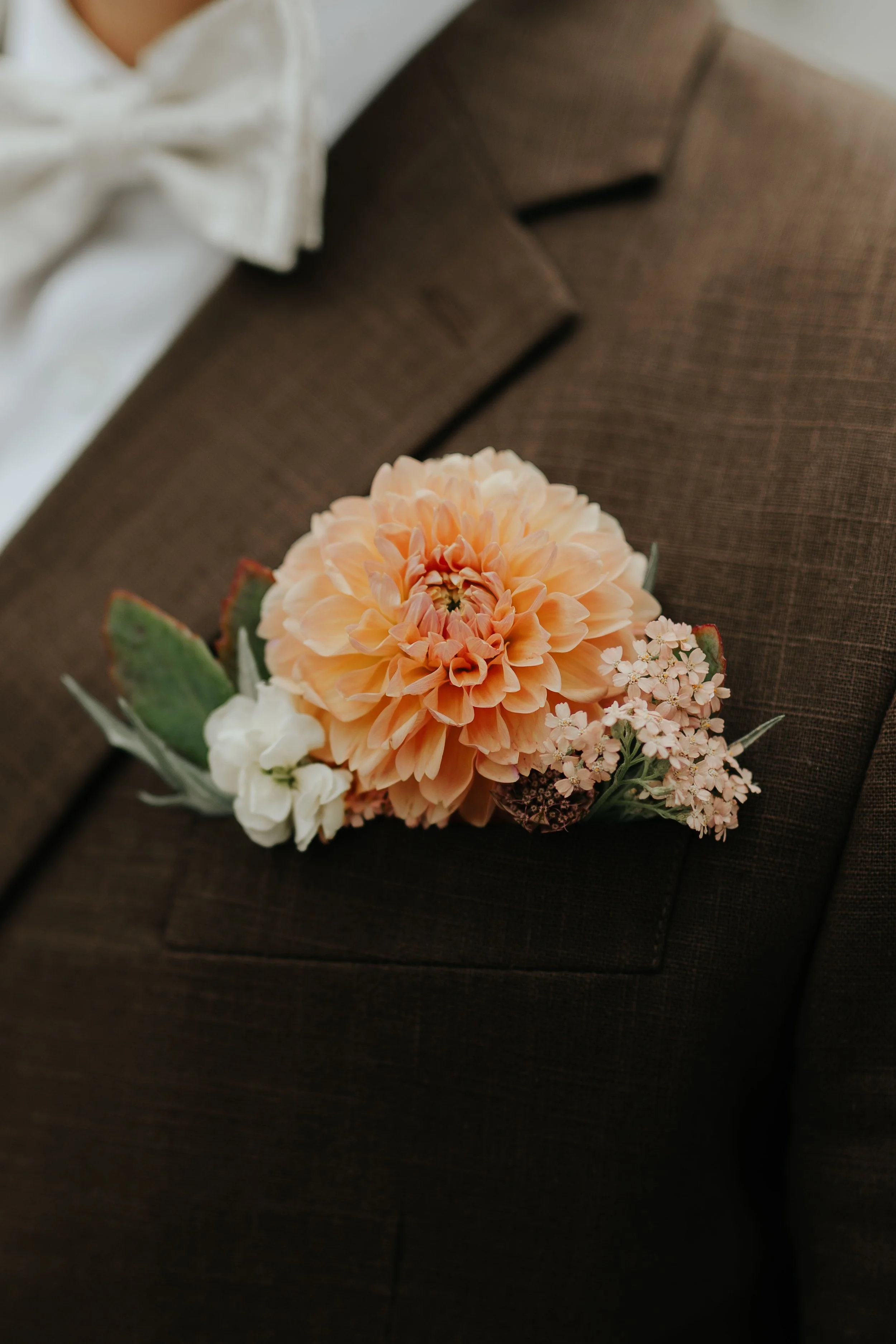 Iida Hay Media-64.jpg