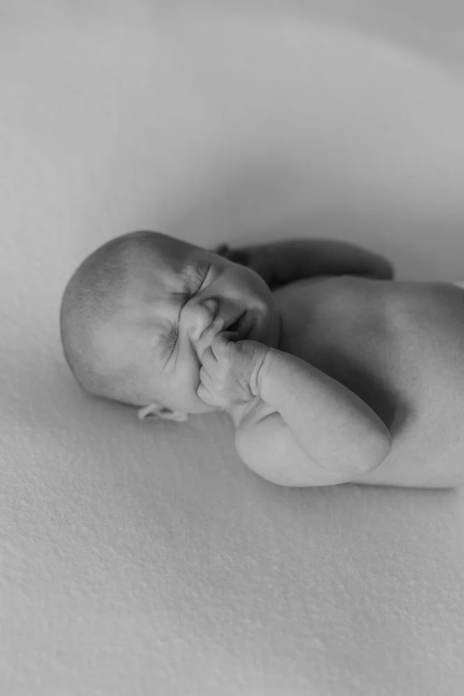  Iida Hay Media Photography-128.jpg