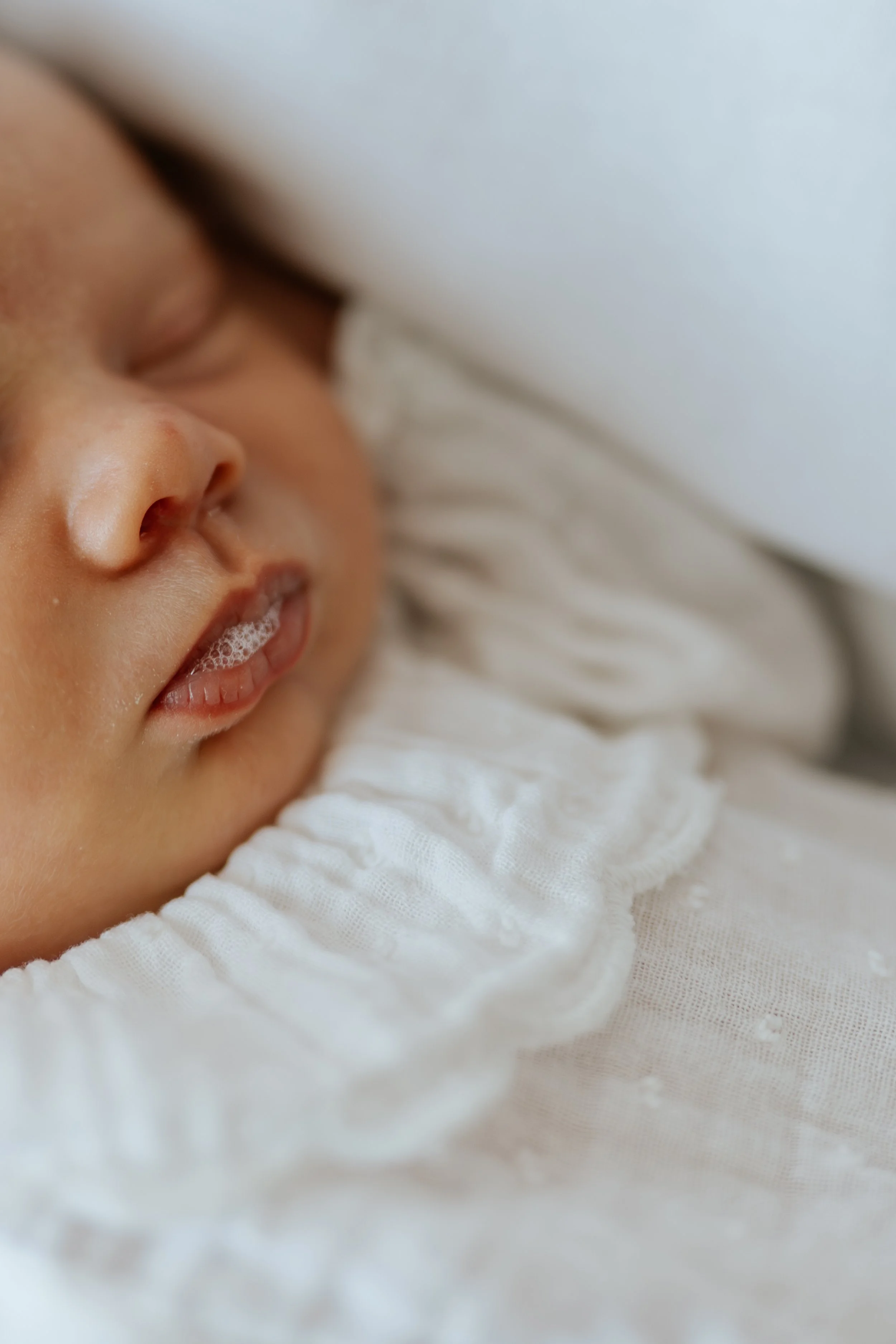  Iida Hay Media Photography-20.jpg