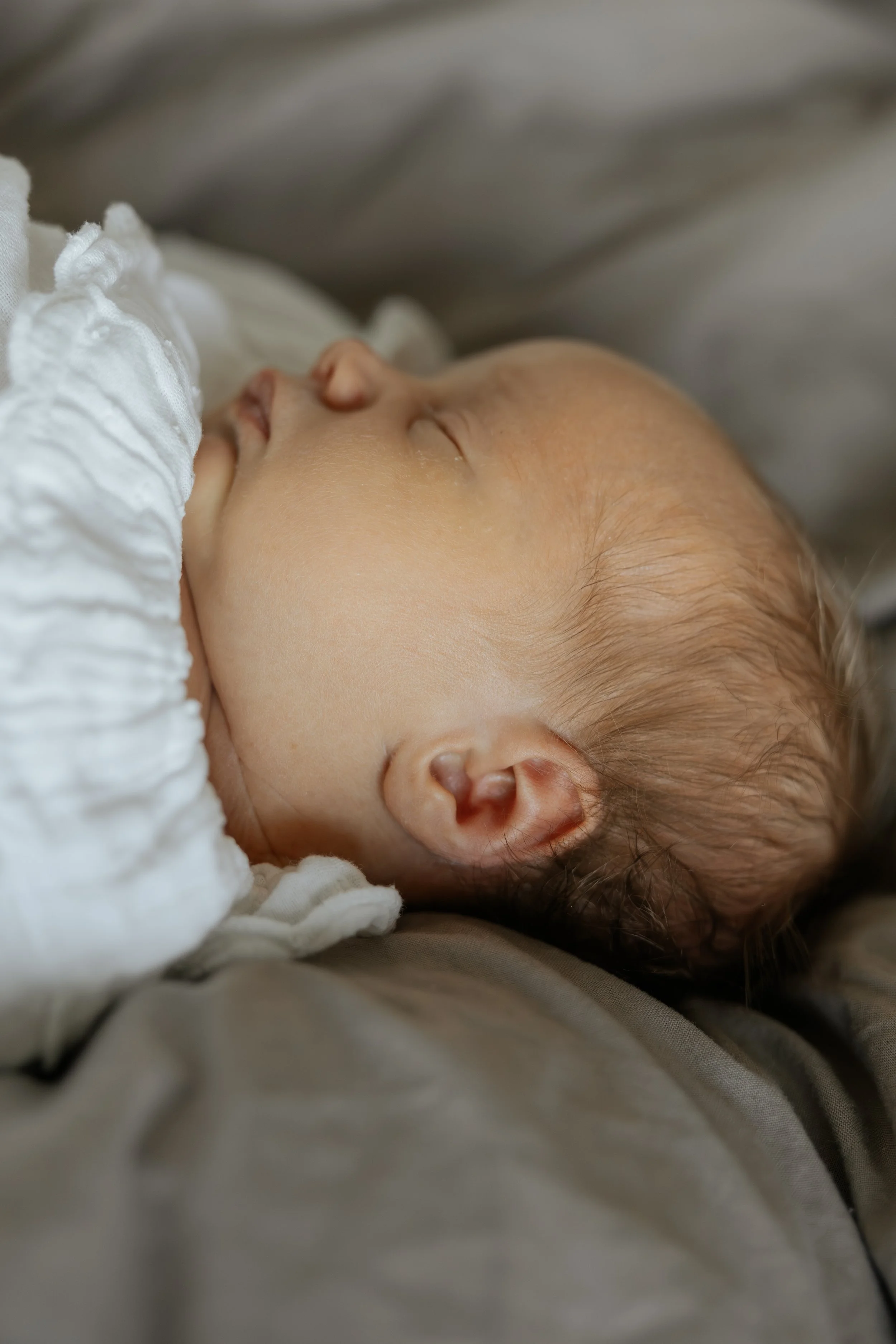  Iida Hay Media Photography-123.jpg