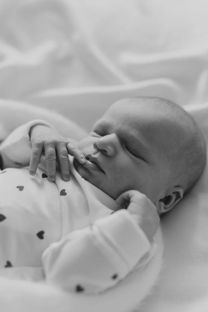  Iida Hay Media Photography-67.jpg