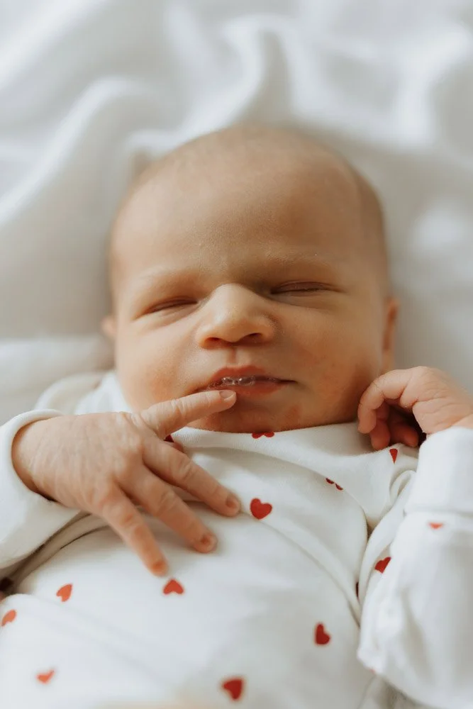  Iida Hay Media Photography-66.jpg