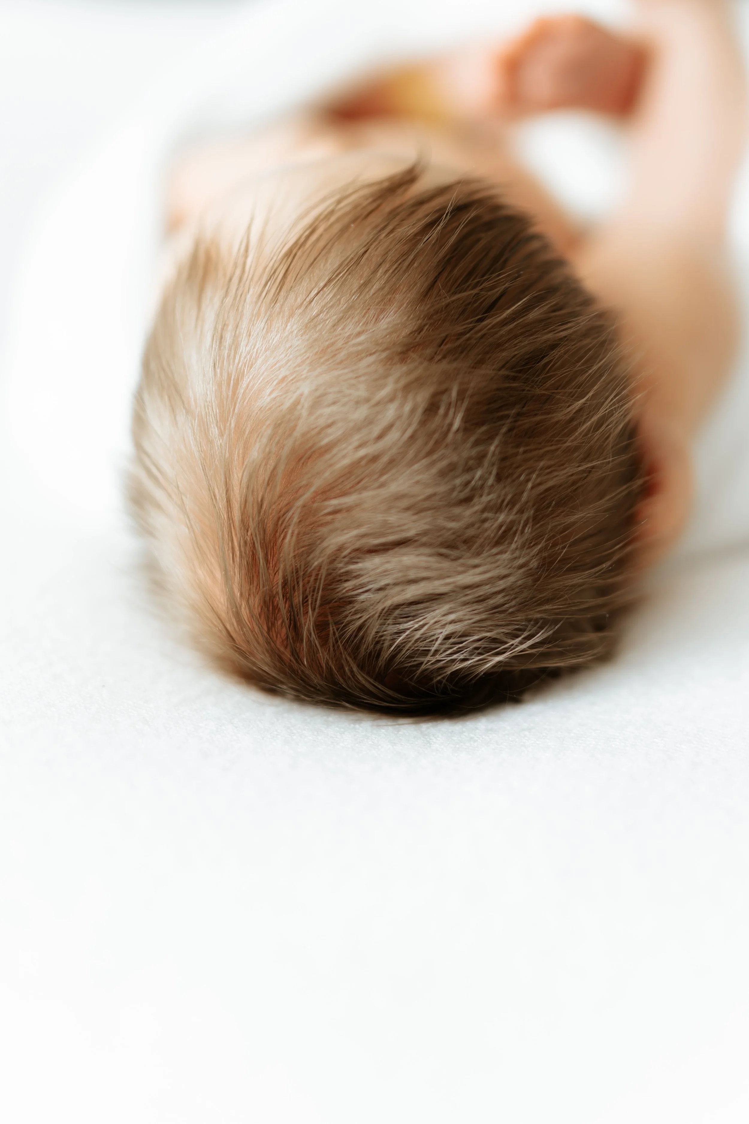 Iida Hay Media-173.jpg