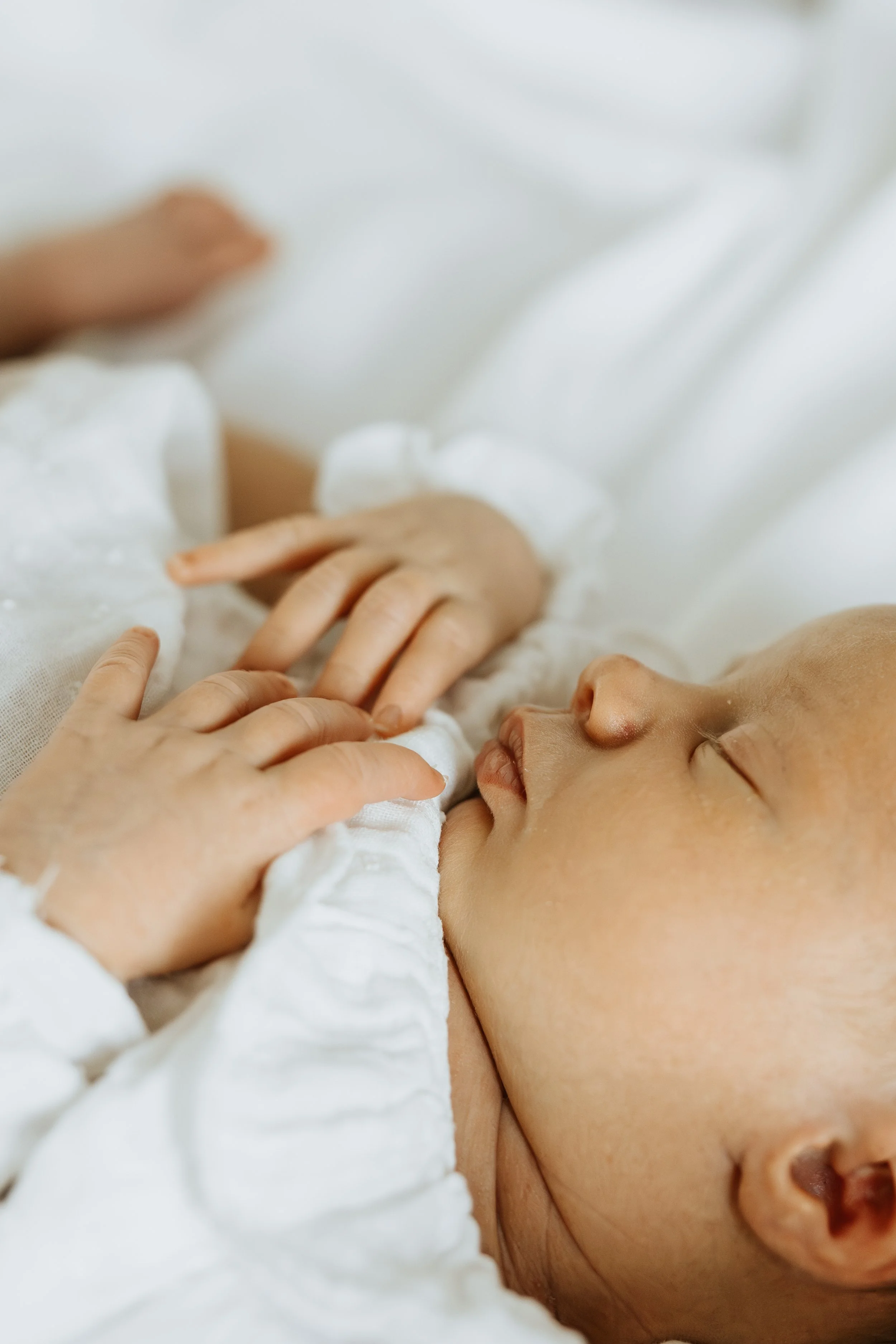  Iida Hay Media Photography-142(1).jpg