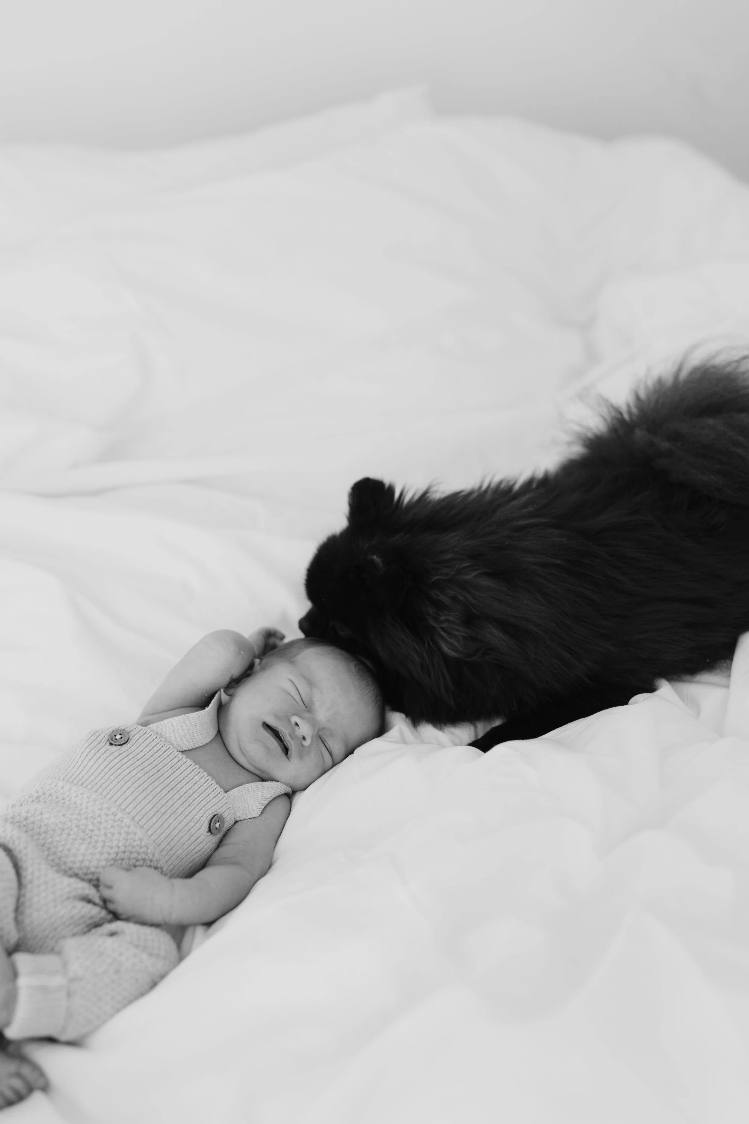 Iida Hay Media Photography-45.jpg