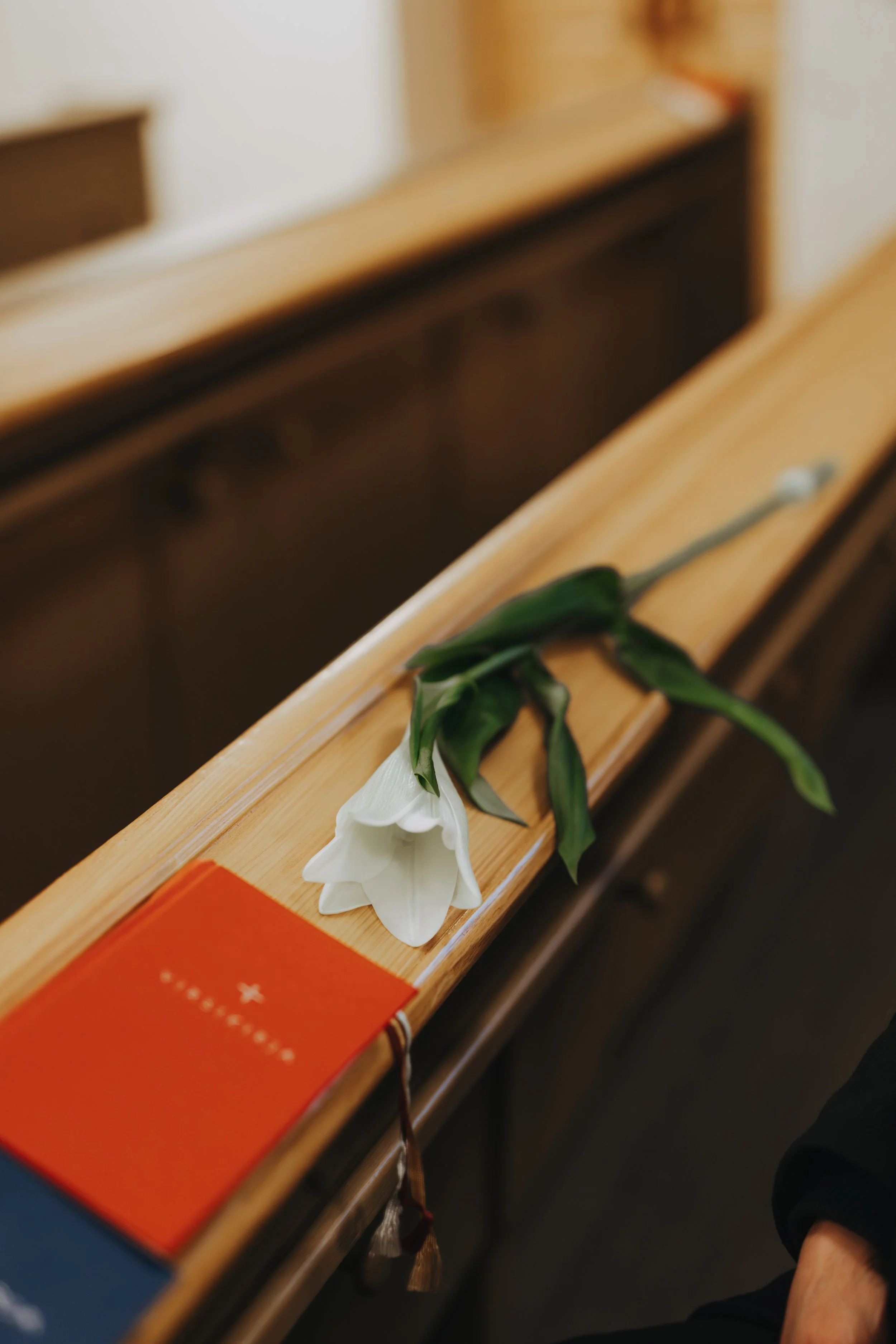  Iida Hay Media Photography-19.jpg