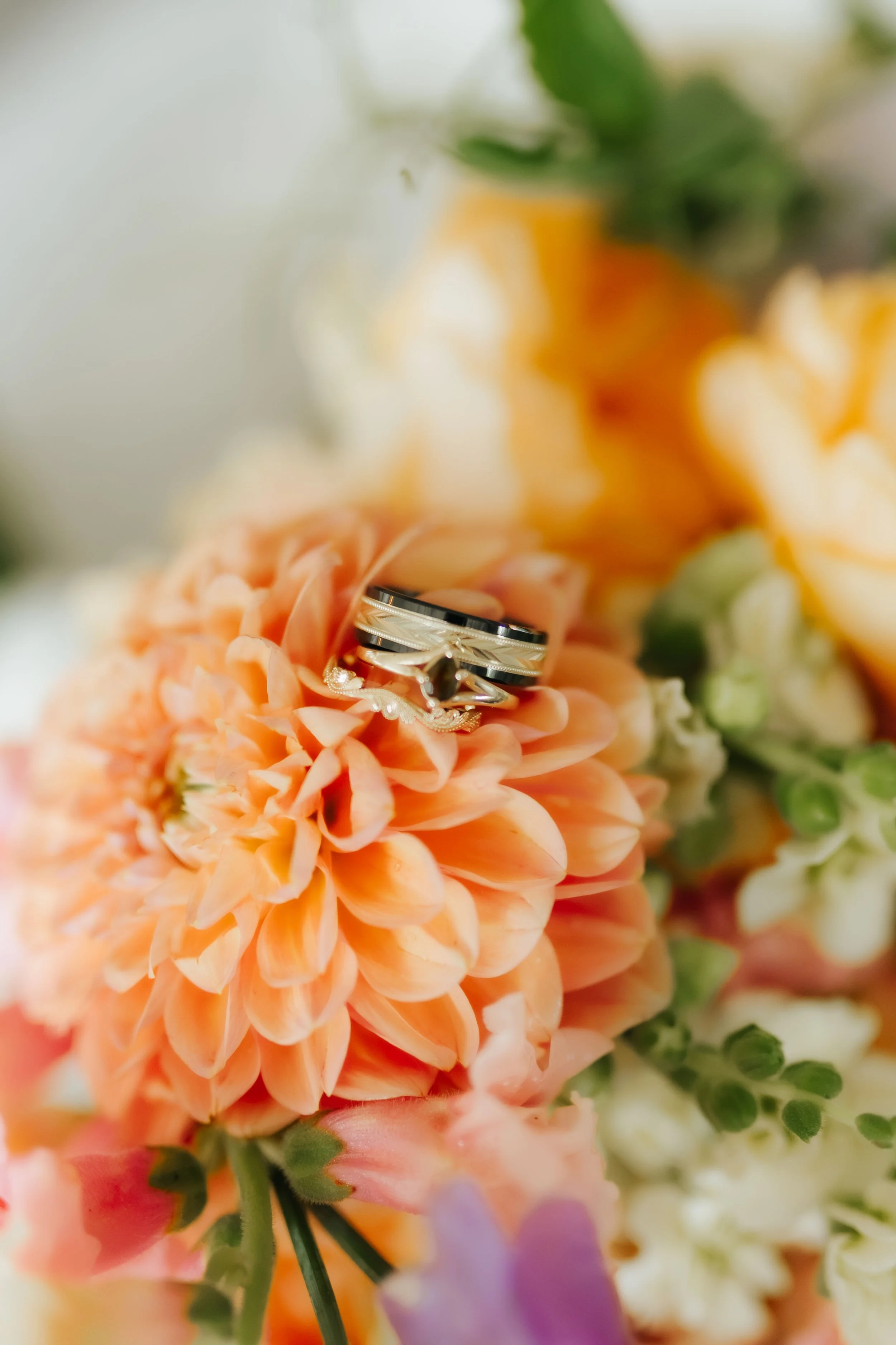 Iida Hay Media-434.jpg