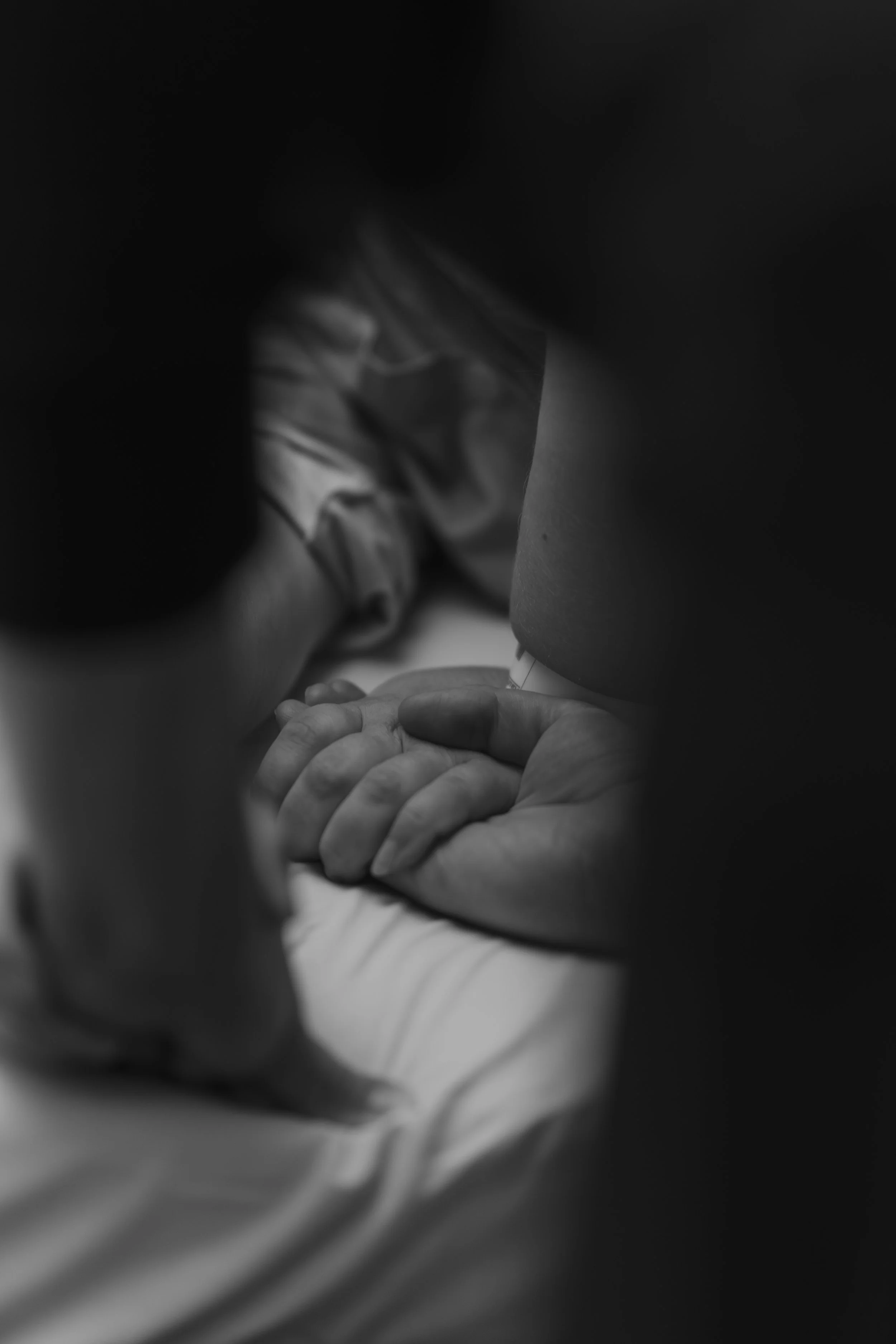Iida Hay Media Photography-43.jpg