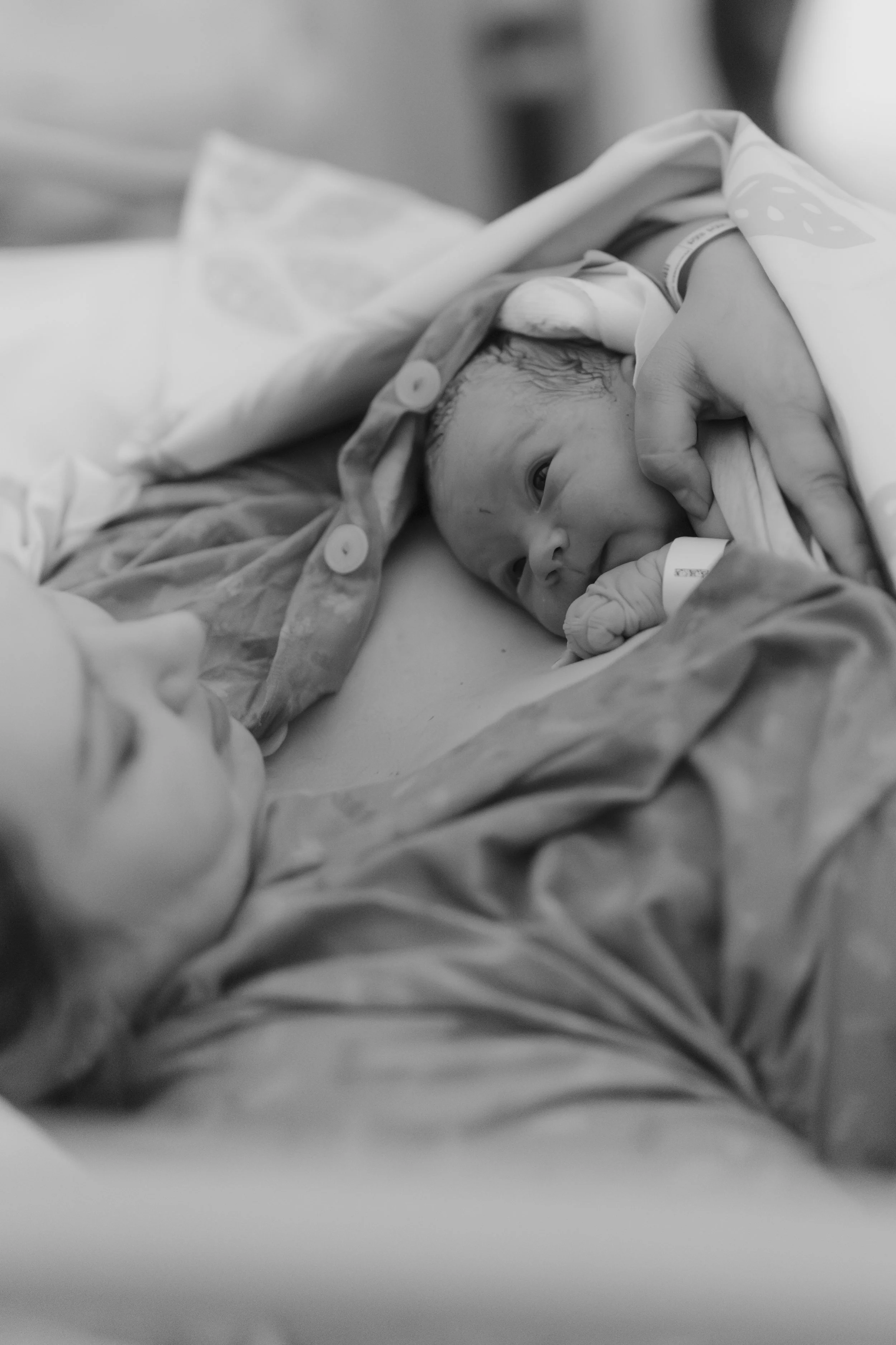 Iida Hay Media Photography-115.jpg
