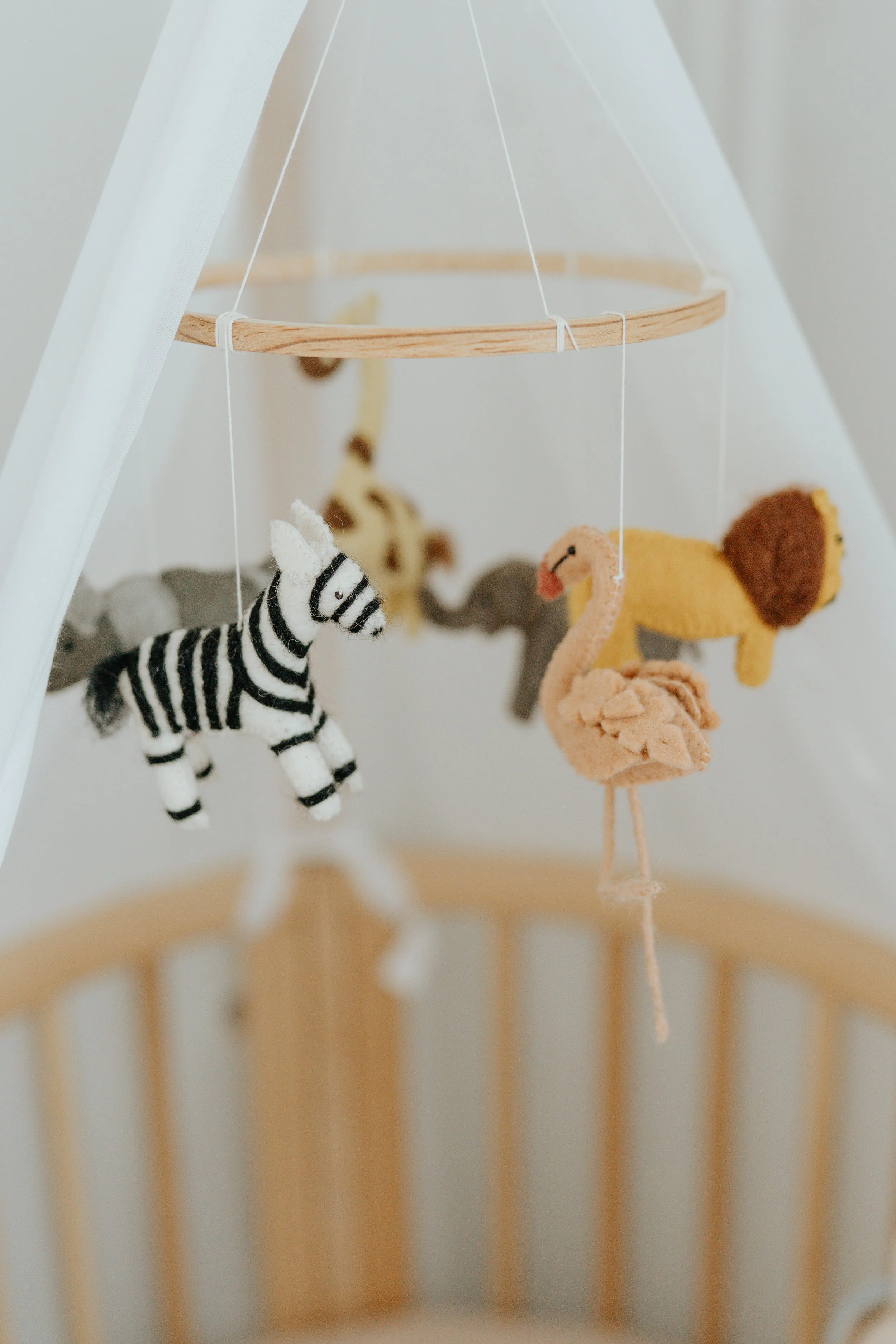  Iida Hay Media Photography-76.jpg