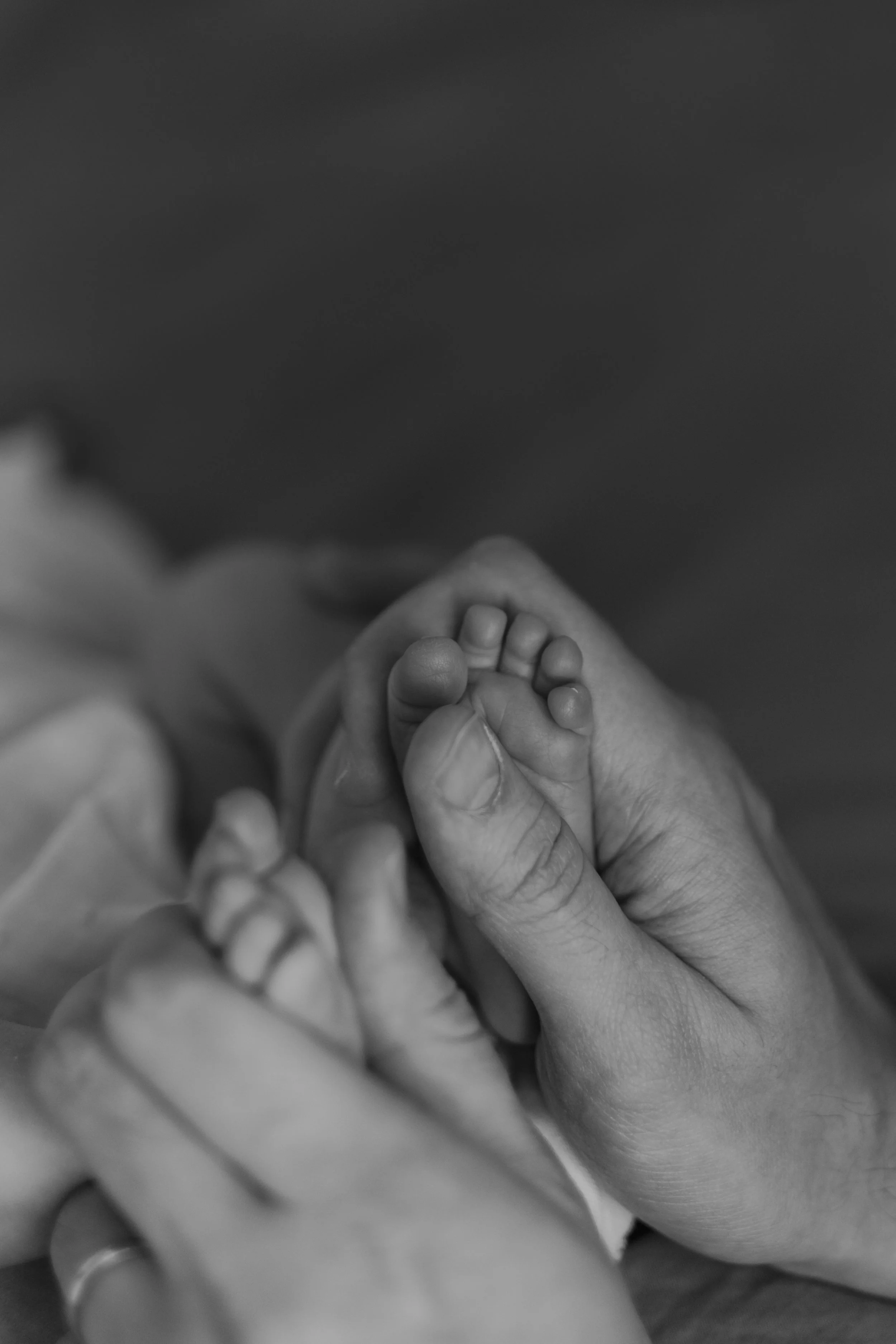  Iida Hay Media Photography-101.jpg