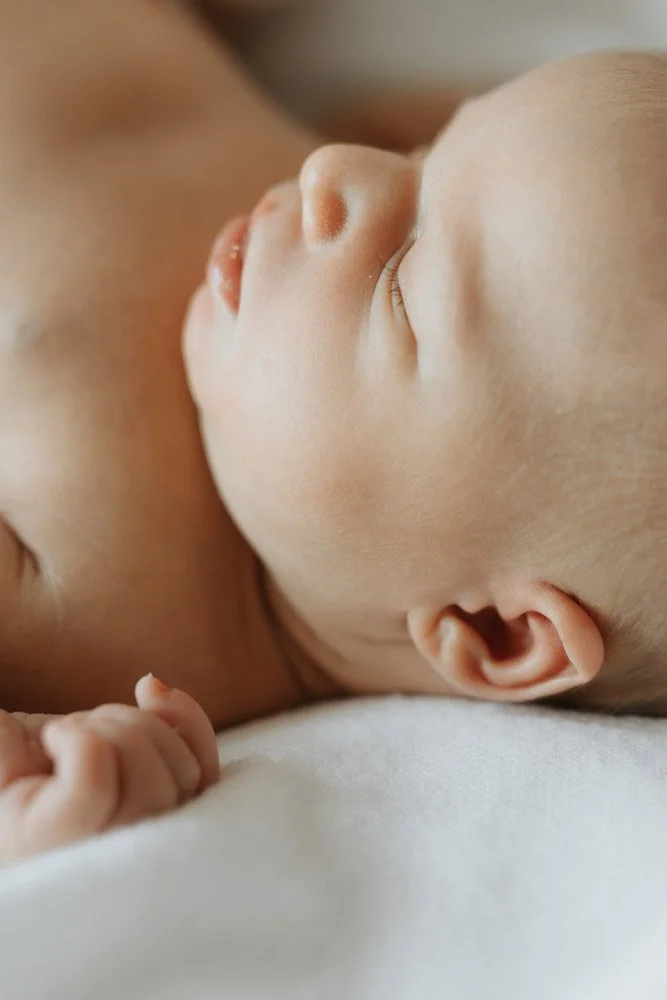  Iida Hay Media Photography-119.jpg