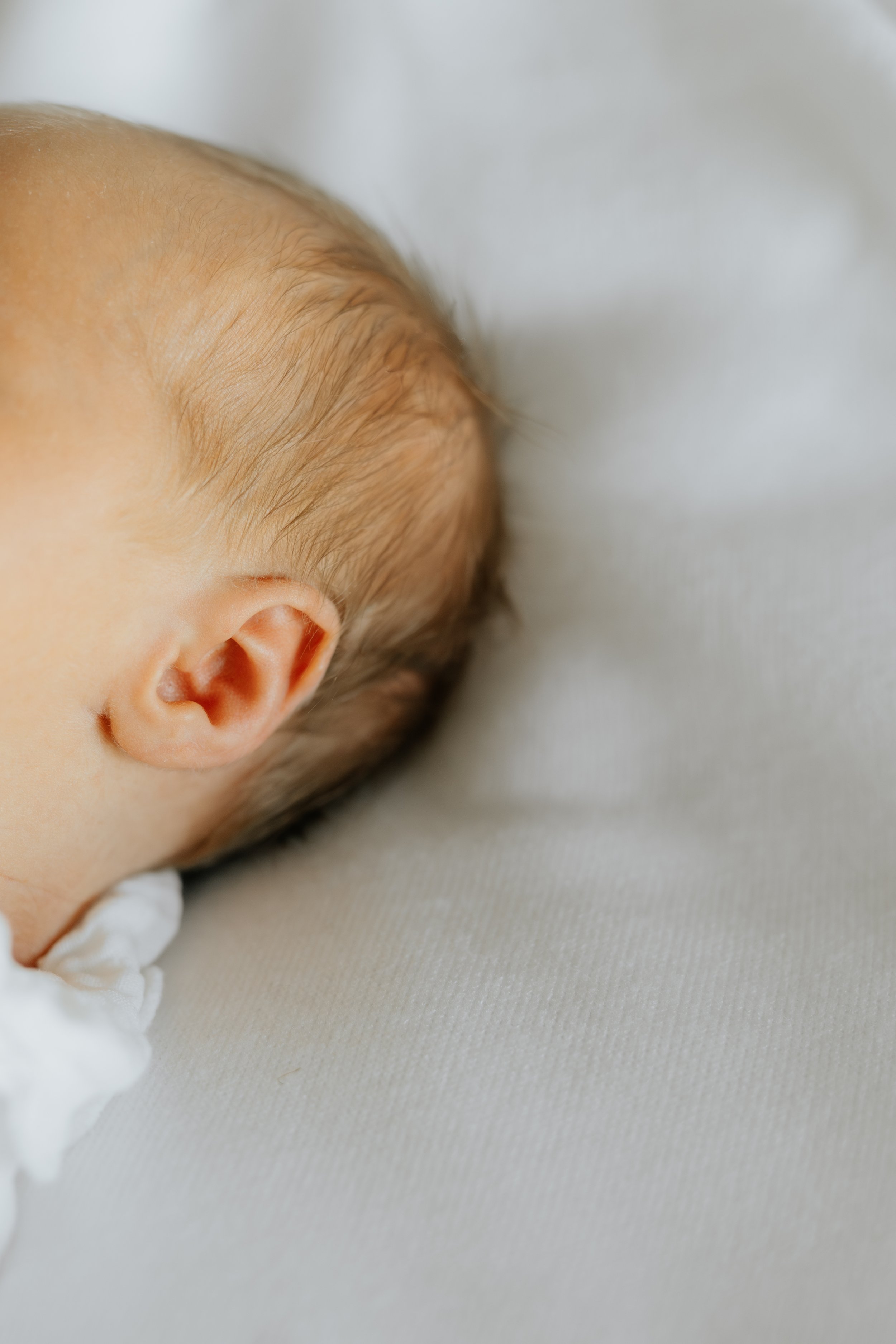  Iida Hay Media Photography-137.jpg