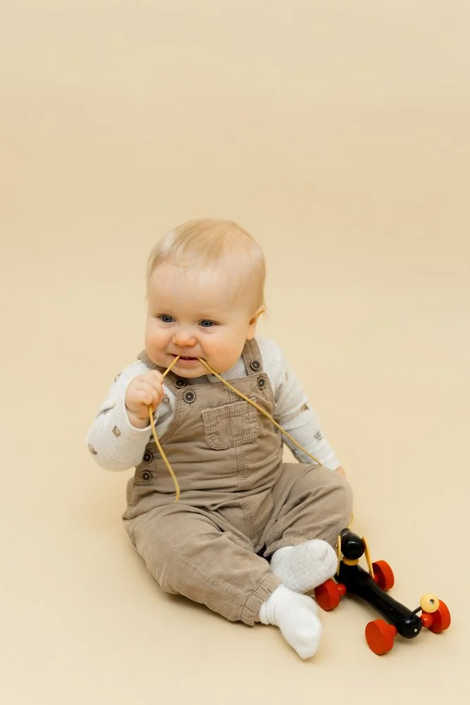 Yksivuotiskuvaus Turussa valokuvausstudiolla.