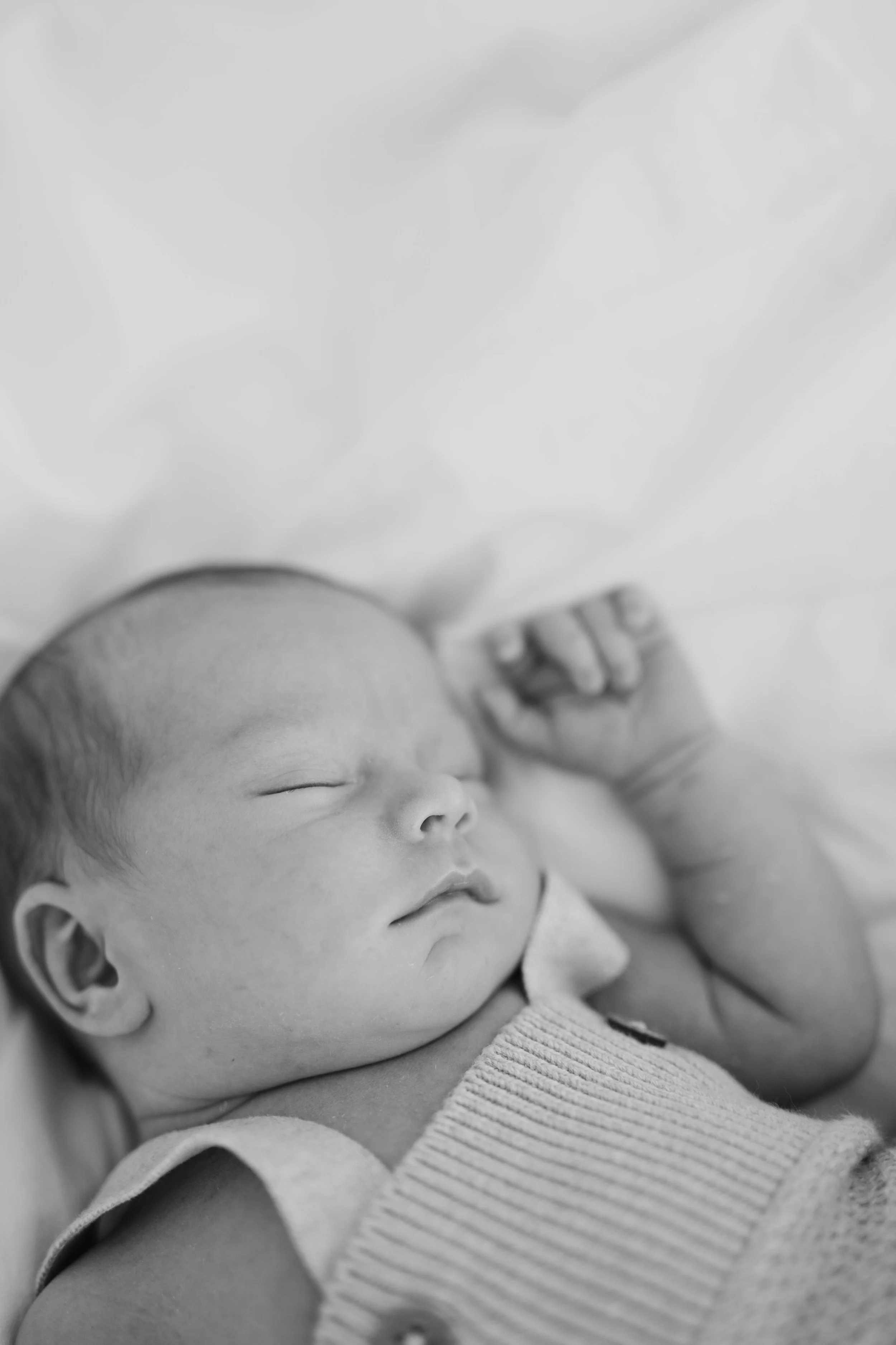  Iida Hay Media Photography-24.jpg
