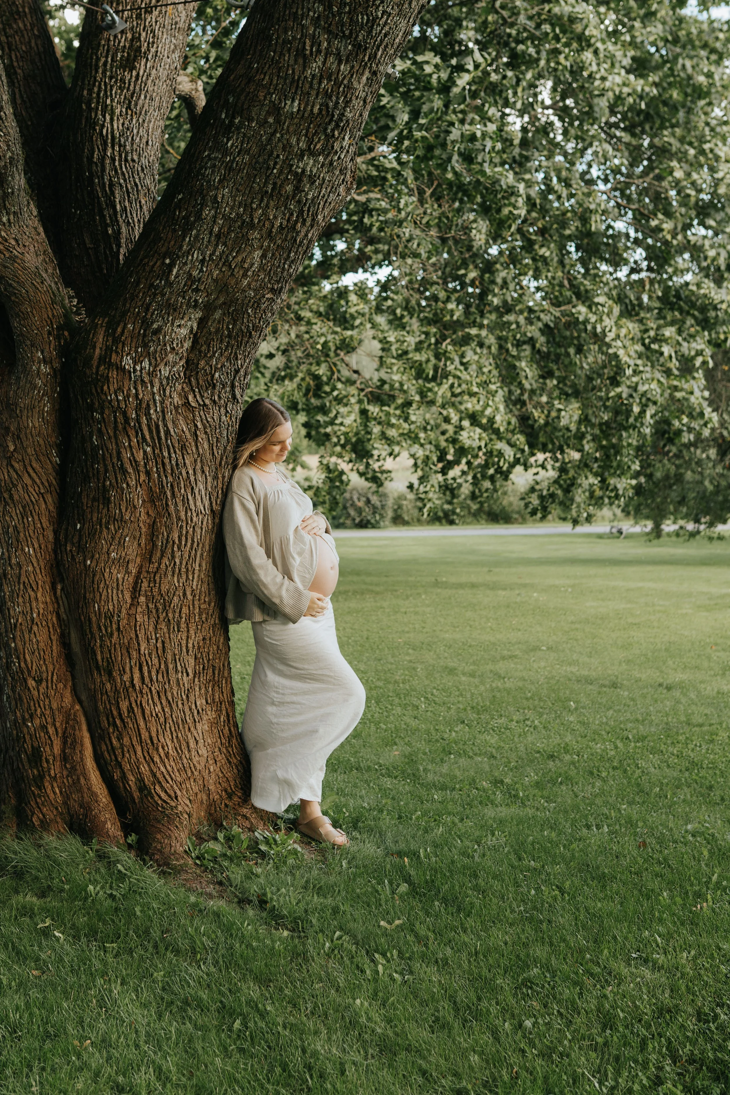 Iida Hay Media-29.jpg