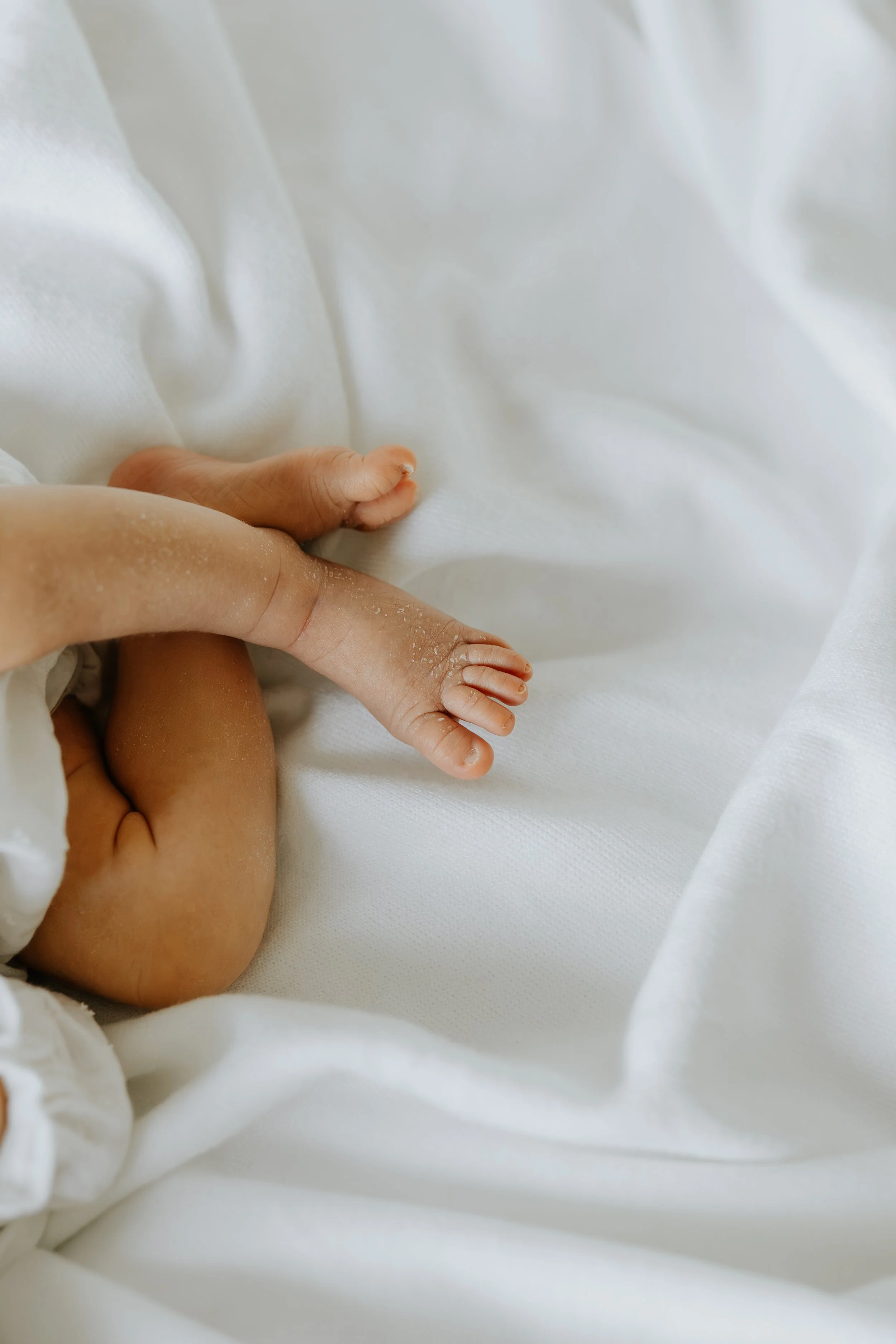  Iida Hay Media Photography-141(1).jpg