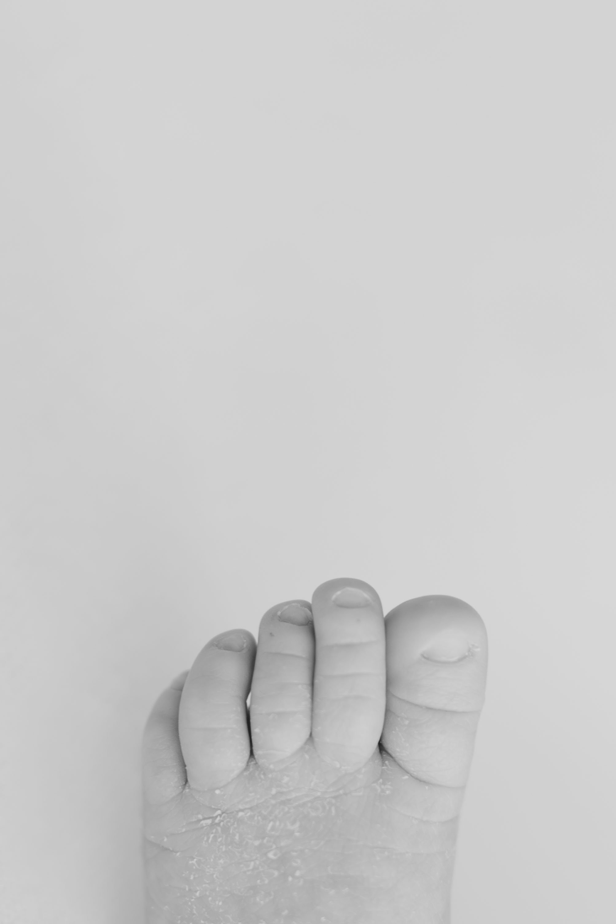 Iida Hay Media-114.jpg