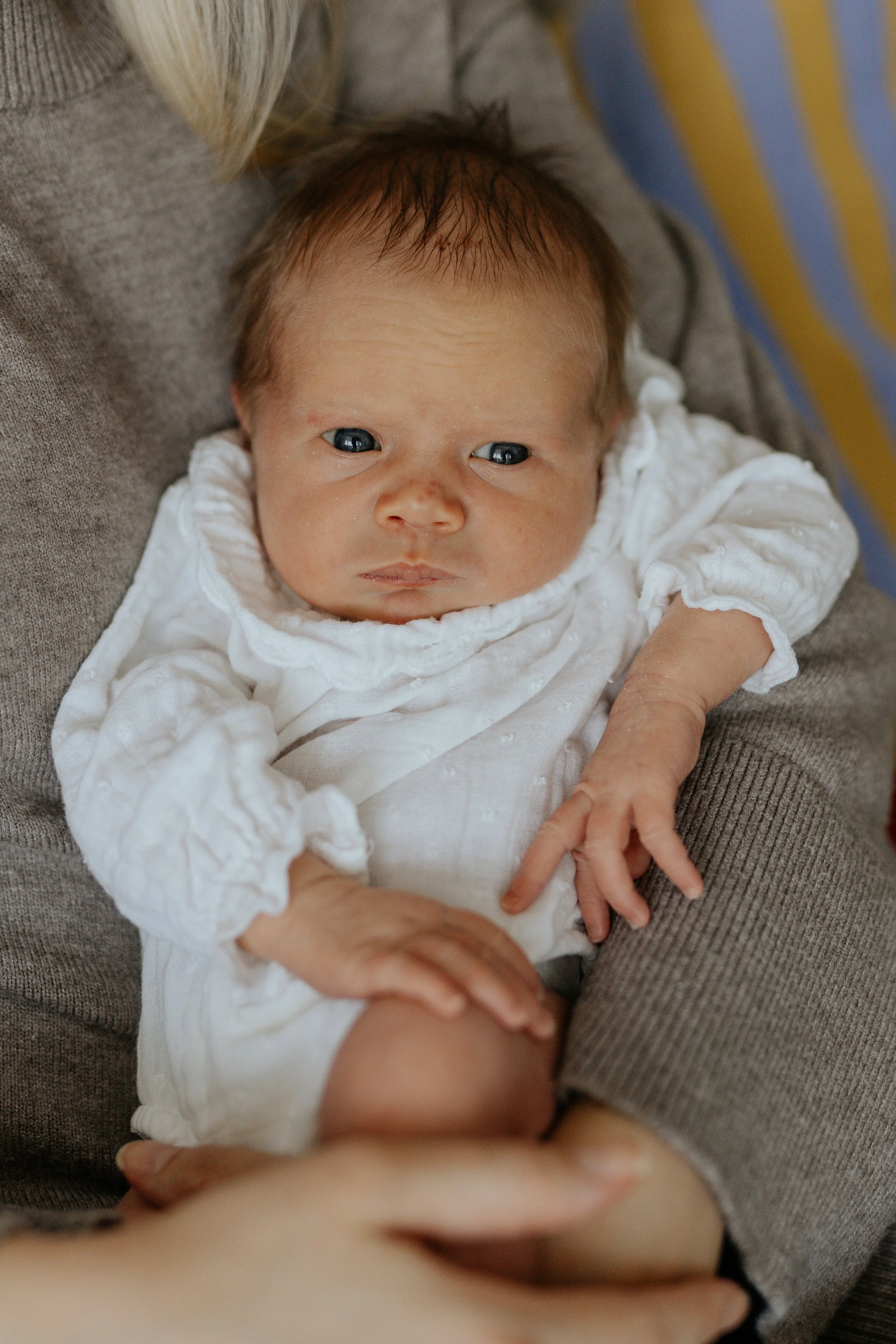  Iida Hay Media Photography-82.jpg