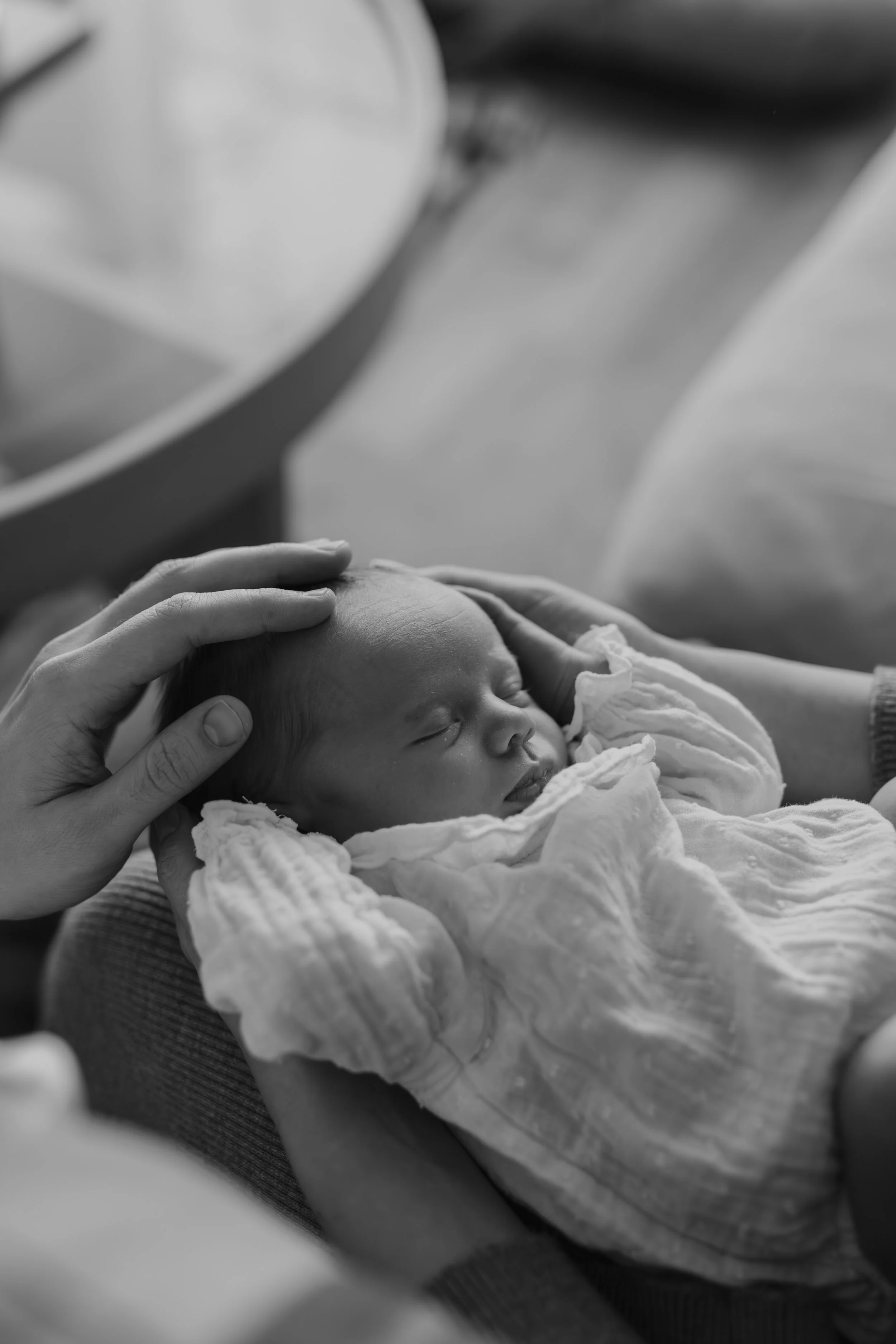  Iida Hay Media Photography-39.jpg