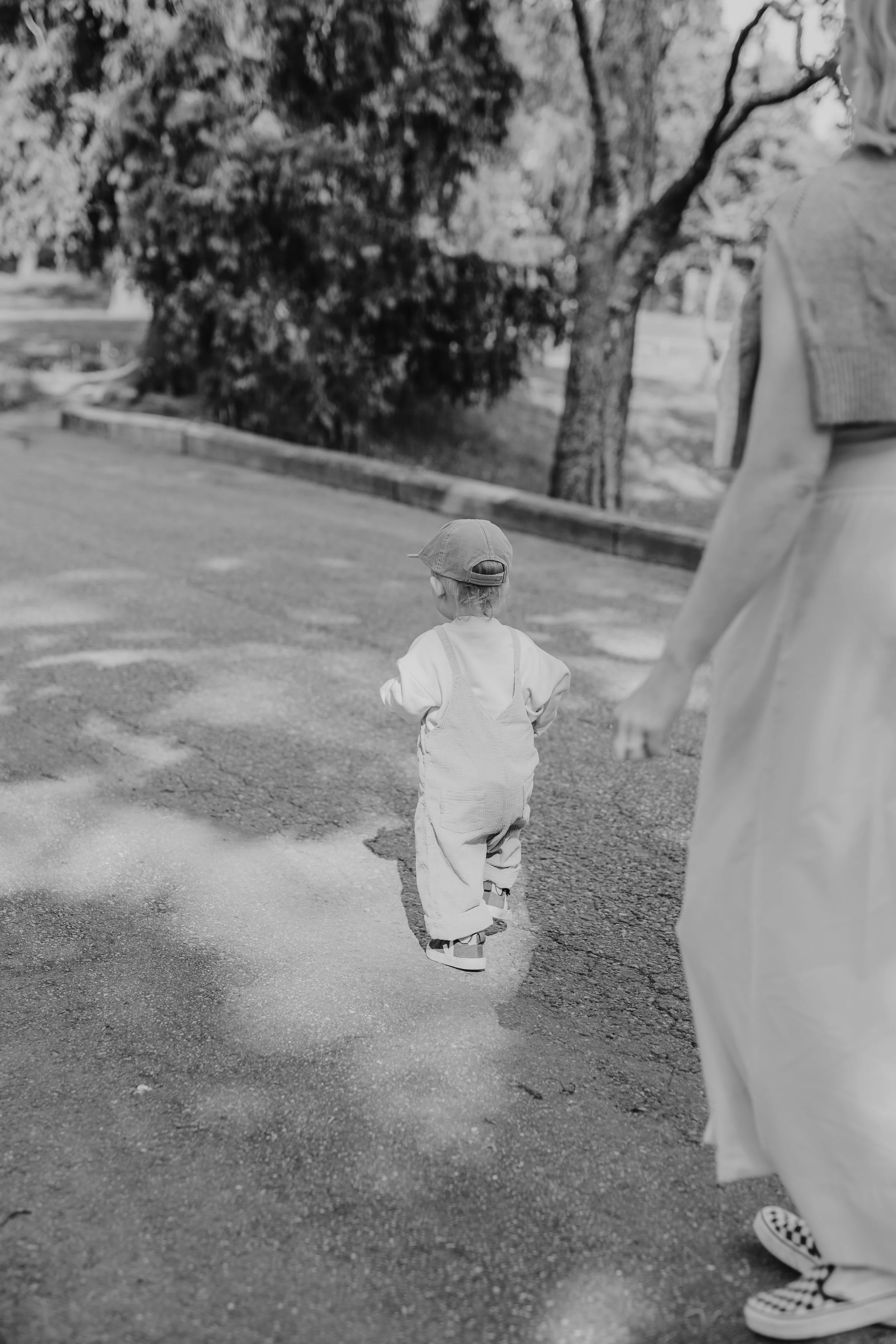 Iida Hay Media Photography-2.jpg