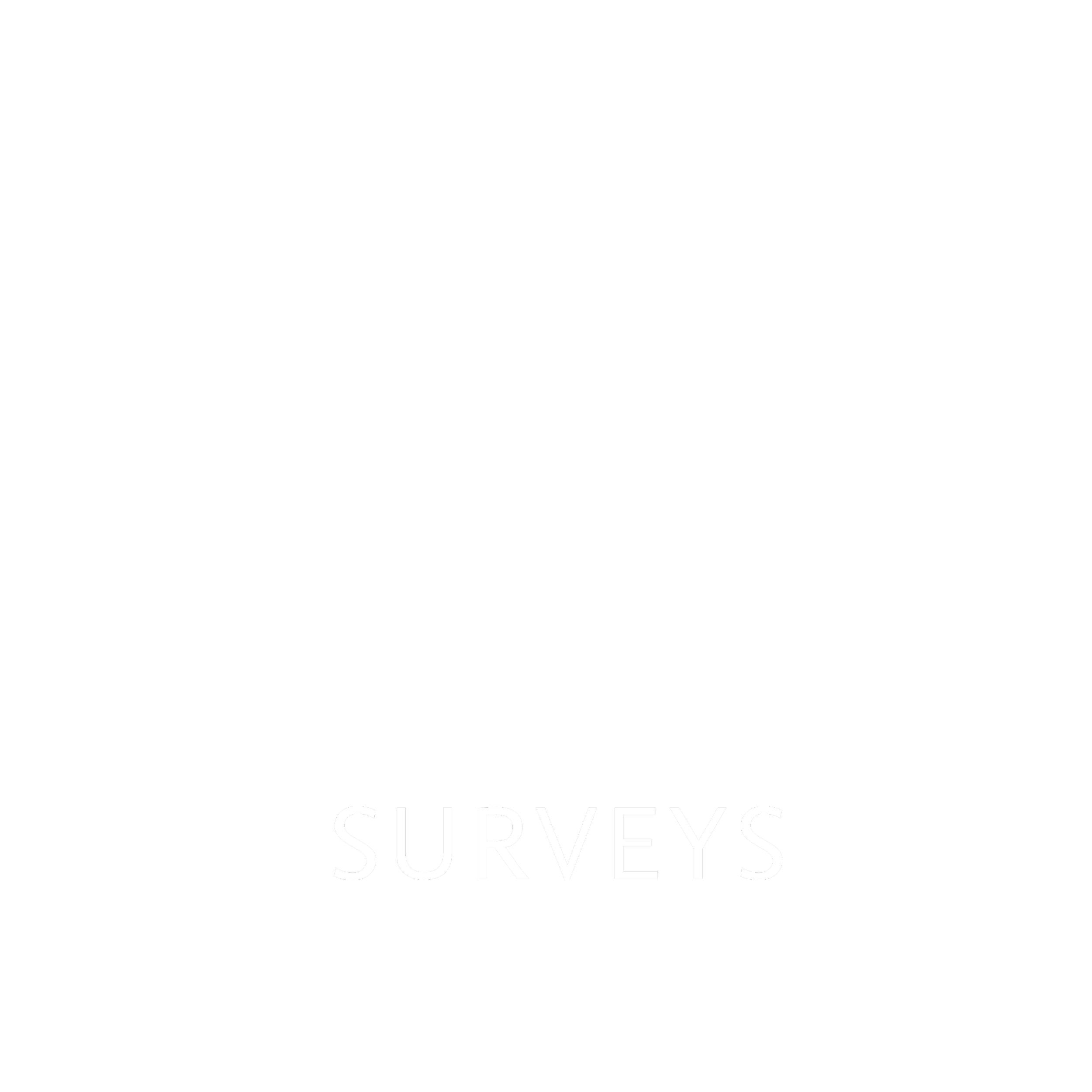 LA SURVEYS logo - white no background.png