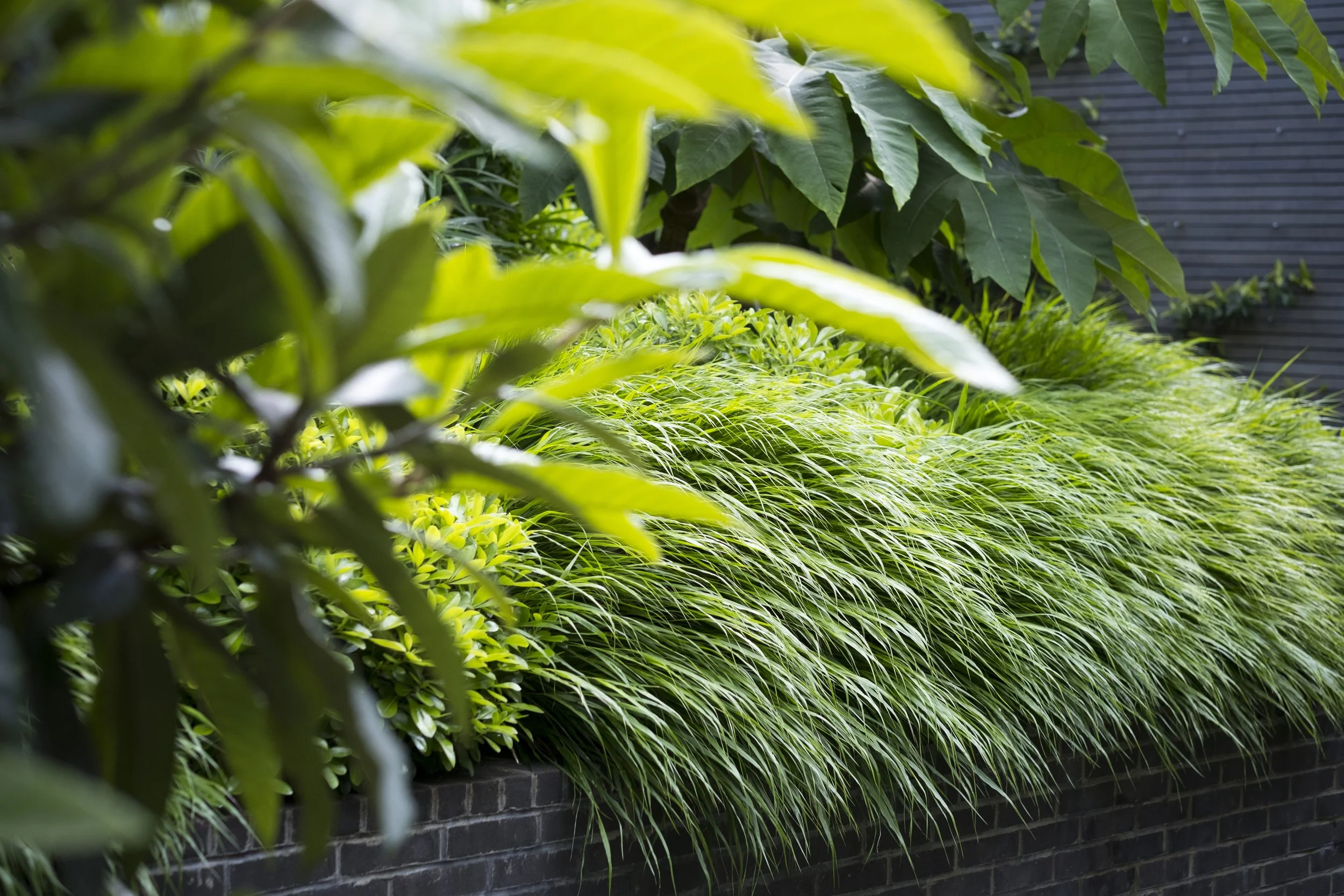 PRIME Progress: LA London recognised for sustainability initiatives