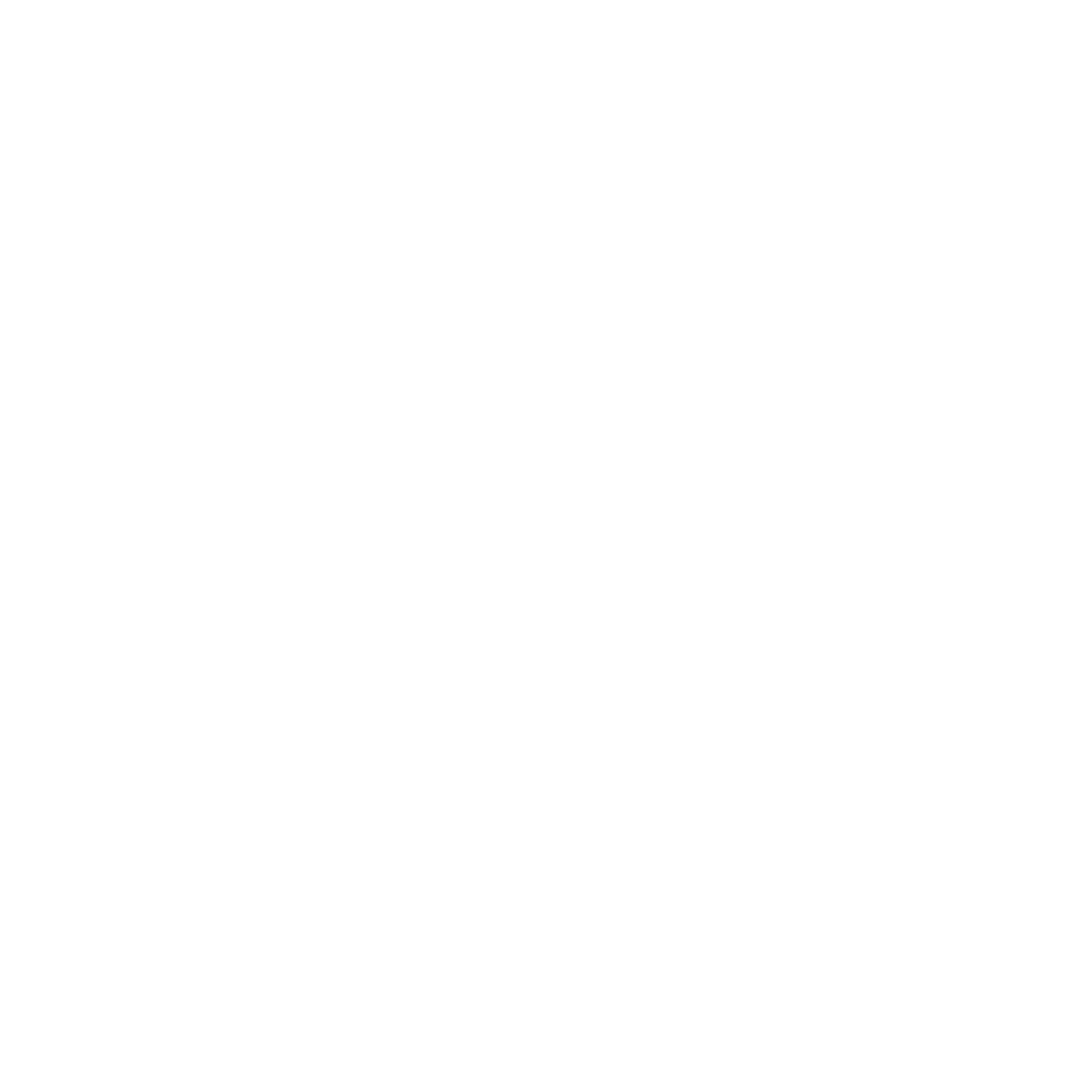 vertex 1.png